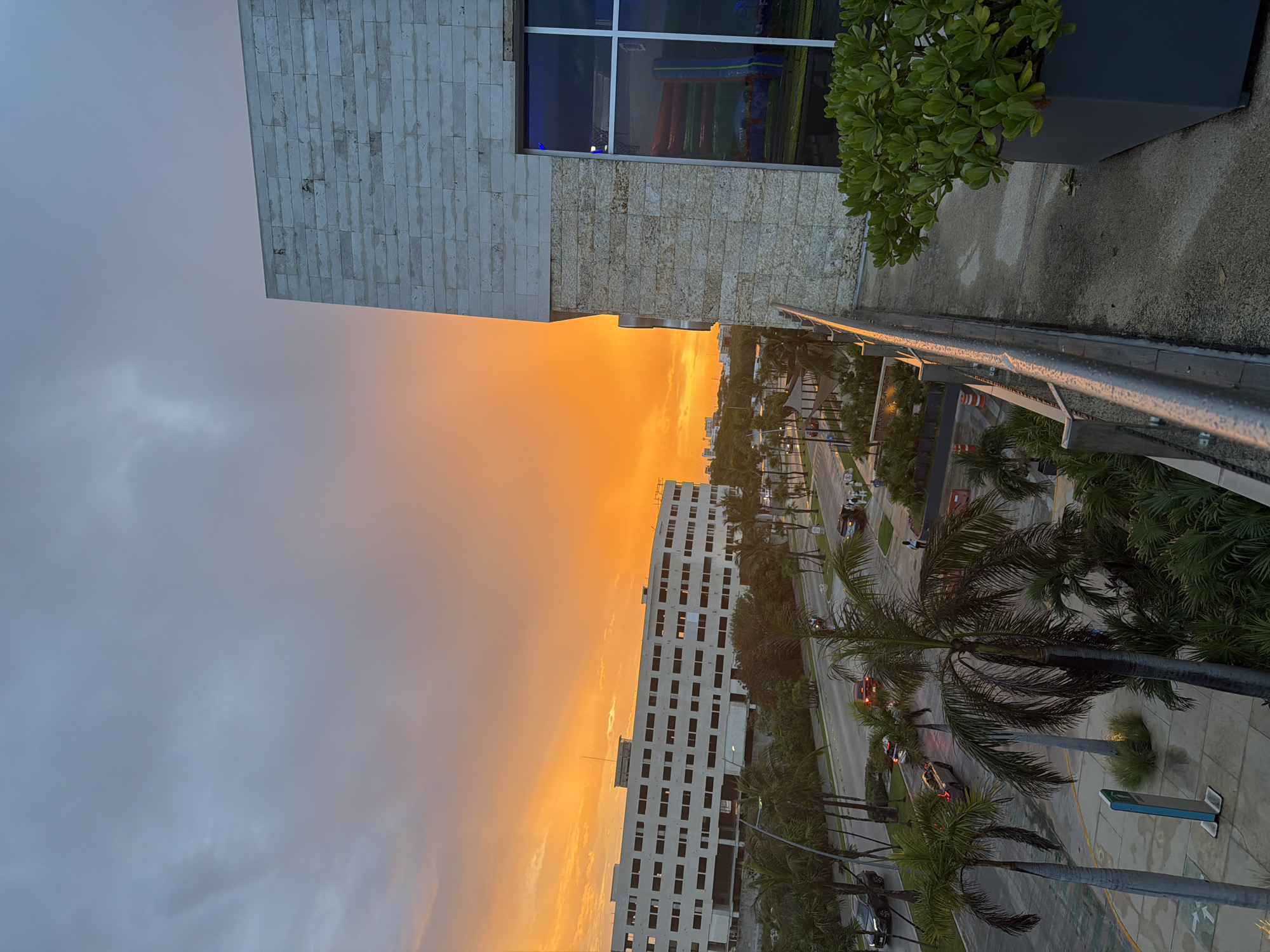 An aerial view captures a vibrant sunset over Cancún, Mexico. The sky is ablaze with fiery orange and yellow hues, transitioning into a dusky gray at the top. On the right, a modern building with a light-colored stone facade stands prominently, its large windows reflecting the colorful sky and an inflatable attraction. In the middle ground, a long, multi-story building, possibly a hotel or an office building under construction, stretches horizontally. Palm trees line a street where several cars are visible, some driving and some parked. The street appears wet, suggesting recent rain. On the left side of the image, a railing and a concrete ledge overlook the scene. A potted plant with lush green leaves sits on the ledge in the foreground.