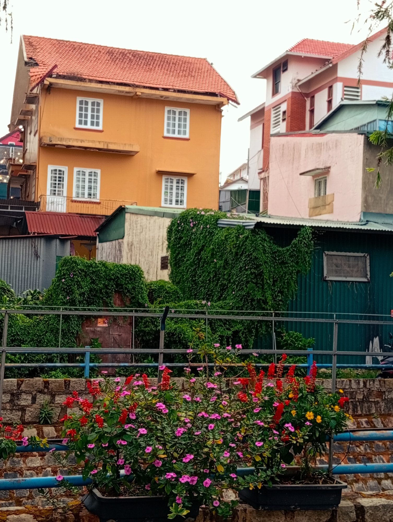 In Xuân Hương - Đà Lạt, Vietnam, a street-level view focuses on a vibrant flower bed with red and pink blooms in black planters, set against a weathered stone wall. A blue metal railing runs behind the flowers. Behind the fence is a building coated in vines, in the background are buildings with an orange and red roofs. The sky is overcast.