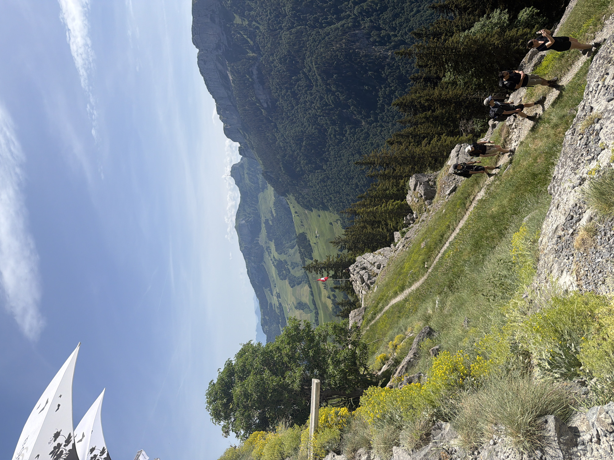 The image captures a mountain landscape in Schwende-Rüte, Switzerland, with a high-angle view. The sky is pale blue. In the foreground, rocky terrain with green and yellow vegetation leads to a path with hikers. Four hikers are positioned on the path, spaced apart.
In the background, mountains covered with dense forest and green valleys are visible. A Swiss flag is seen at the edge of a cliff. In the lower left corner, there are white triangular structures with black foliage designs.