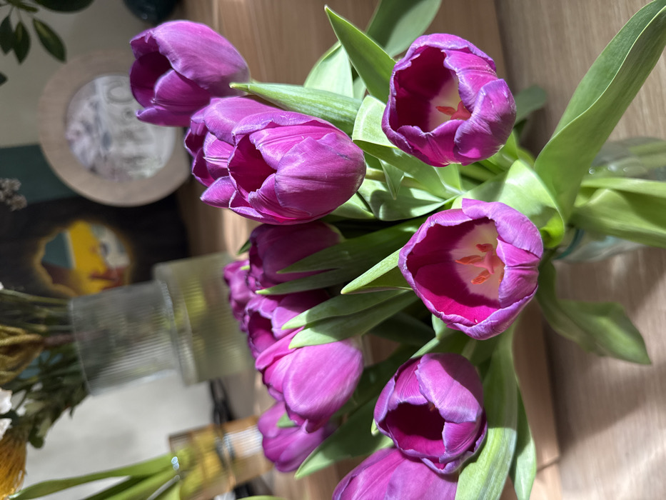 The image displays an indoor still life featuring a bouquet of approximately twelve vibrant purple tulips in a clear glass vase, situated on a light-toned wooden surface. The tulips exhibit varying stages of bloom; some are tightly closed, while others are partially open, revealing yellowish-white centers with visible orange-red stamens. Bright green leaves are interwoven throughout the bouquet. Strong, directional sunlight from the left illuminates the scene, casting defined shadows onto the wooden surface. In the background, rendered with soft focus, an amber-tinted, ribbed glass vase containing green plant stalks is visible on the far left. Centrally, another clear, ribbed glass vase holds a light green fluid and indistinct plant material. To the right, a circular wooden frame encloses a monochromatic image, possibly depicting an architectural structure. Behind this frame, a dark-framed abstract artwork with yellow and orange elements is discernible. No individuals, actions, or direct interactions are present. The scene is located in Saint Petersburg, Russia.