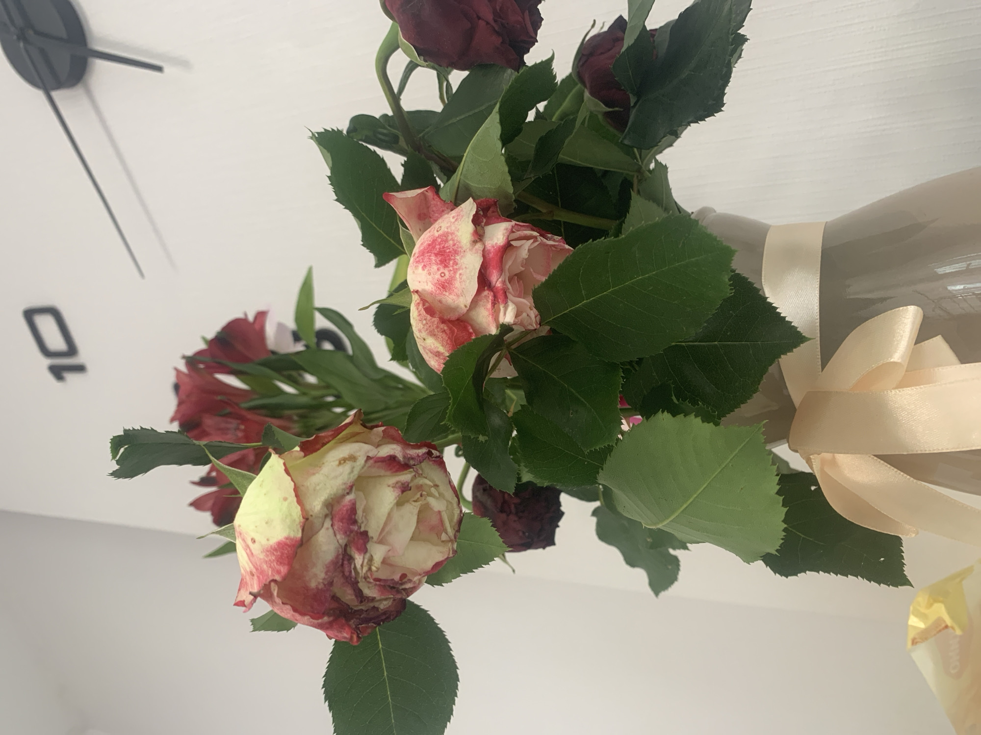 A close-up, low-angle shot captures a bouquet of wilting roses in a vase. The roses, a mix of pink and white with some browning edges, are arranged with vibrant green leaves. The vase itself is a light gray, adorned with a cream-colored satin ribbon tied in a bow. In the background, a white wall displays a modern, minimalist clock with black hands and numerals indicating the time is roughly 10:10. The lighting is bright, casting soft shadows. The image appears to be an indoor still life, with no specific identifiable landmarks placing it in Kommunar, Russia.