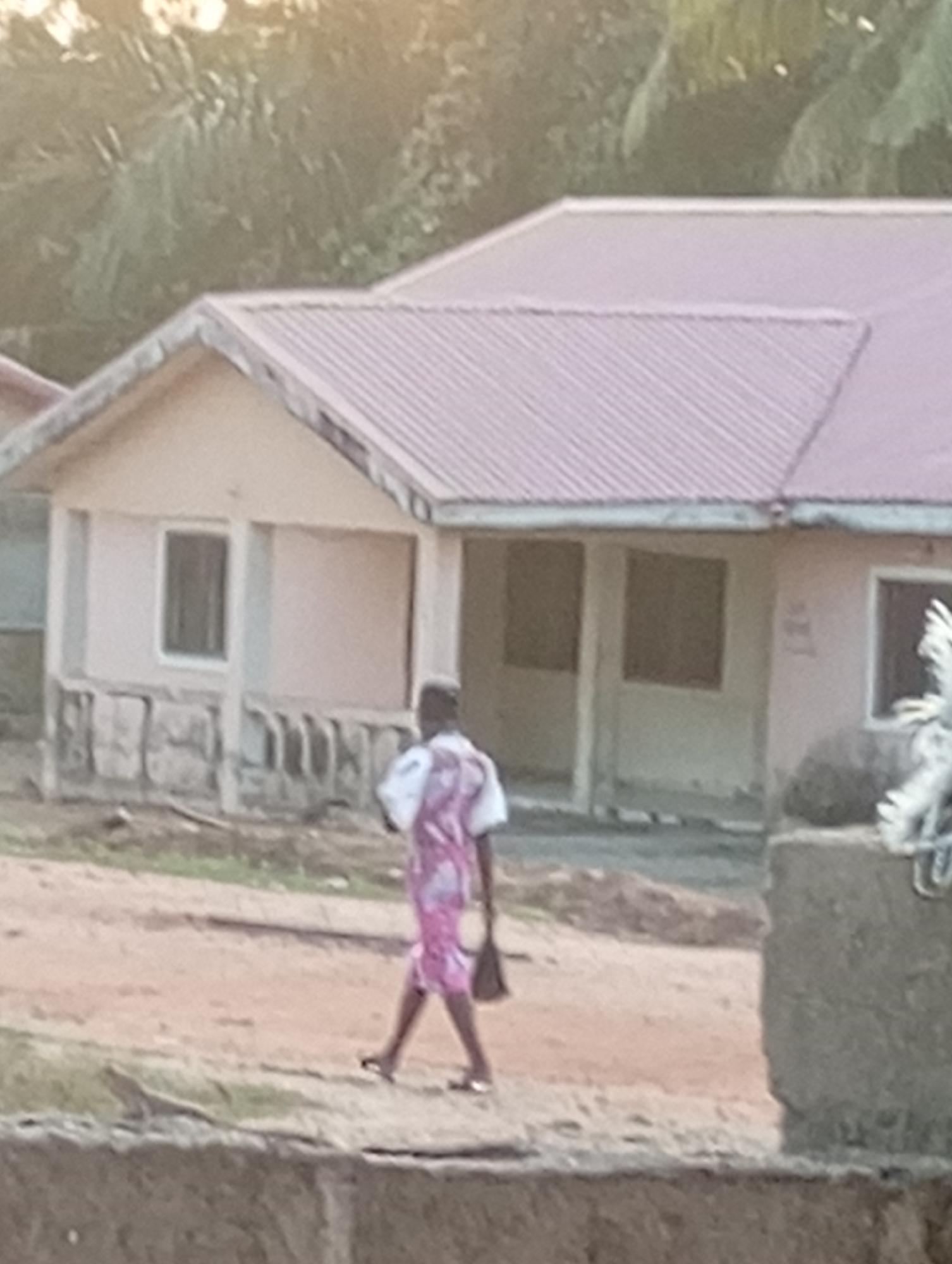 A person walks along a dirt path in front of a light-colored building with a pink, ribbed roof. The building has at least two openings that appear to be doorways or windows, and a single window with a dark pane. The person is wearing a pink and white patterned dress and is carrying a dark bag. The environment appears to be outdoors, possibly in a rural or developing area, with some greenery visible in the background. The lighting suggests it is either early morning or late afternoon.