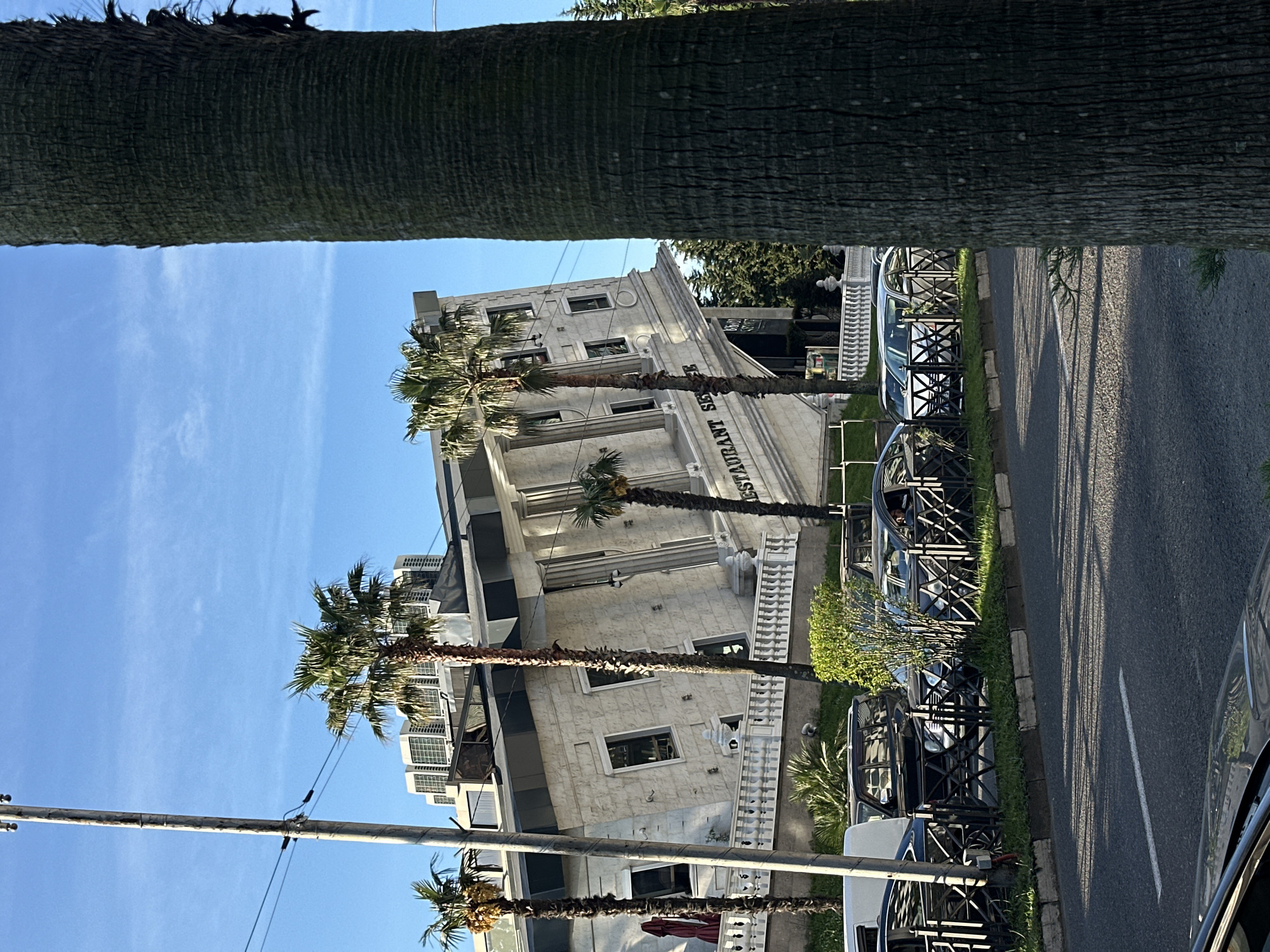 The image shows a partial view of the Restaurant San Remo building in Batumi, Georgia, taken from street level. The building is light-colored and features the restaurant's name prominently displayed on its façade. Palm trees are visible in front of the building and the sky is blue. Cars are parked along the street, separated from the sidewalk by a fence. A portion of a palm tree trunk is in the top of the image, obstructing some of the view. Power lines and a telephone pole are also visible.