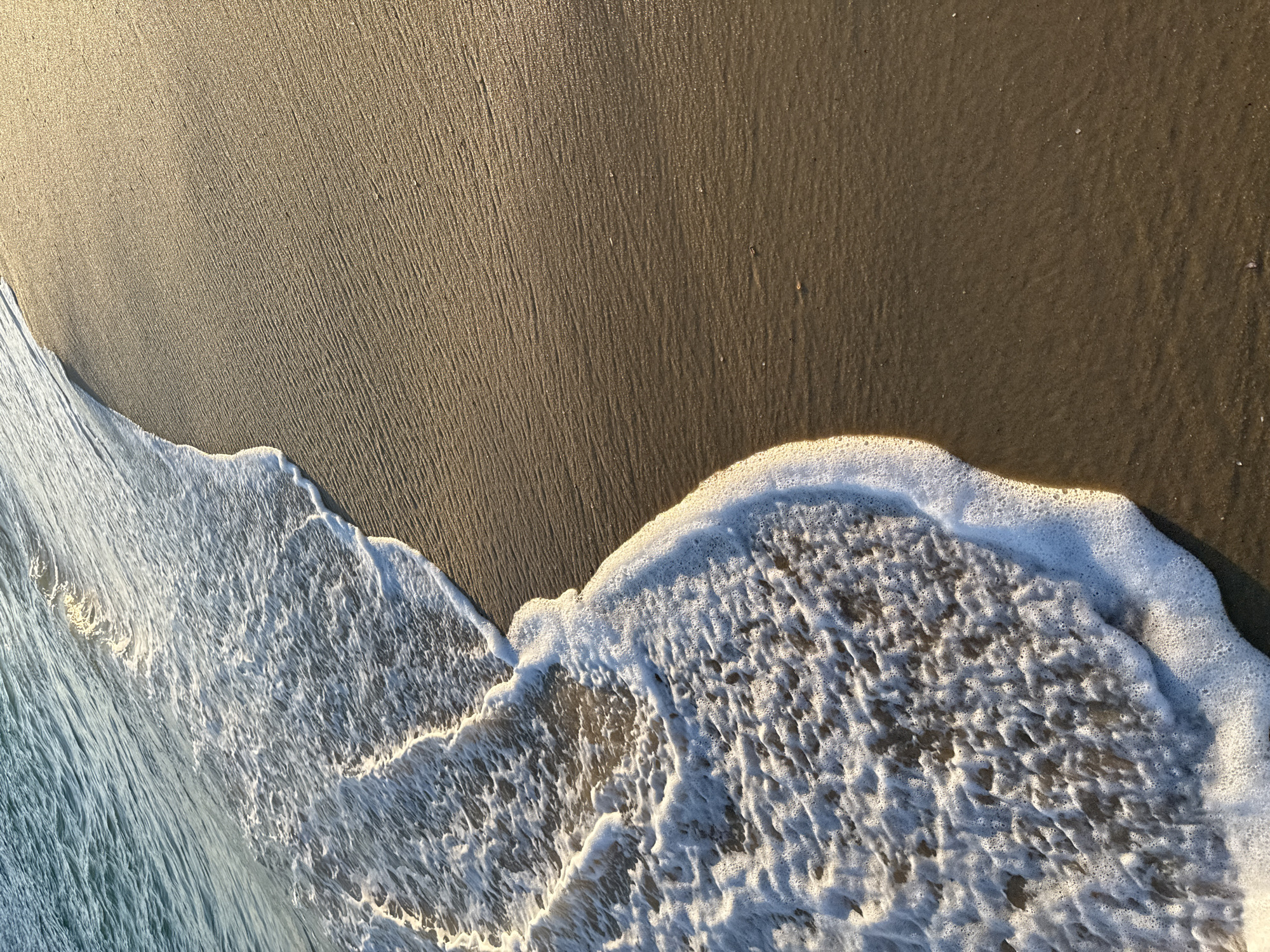 The image shows a close-up view of a sandy beach with gentle waves lapping at the shore. The water is a clear turquoise, and the sand is a warm golden brown with subtle ripples from the receding tide. The foam from the waves creates a delicate white lace along the waterline. The lighting suggests it may be late afternoon or early morning, casting long shadows and a soft glow on the sand. The scene is tranquil and devoid of any people or man-made objects.
The location is the beach of Icaraí in Niterói, Brazil.