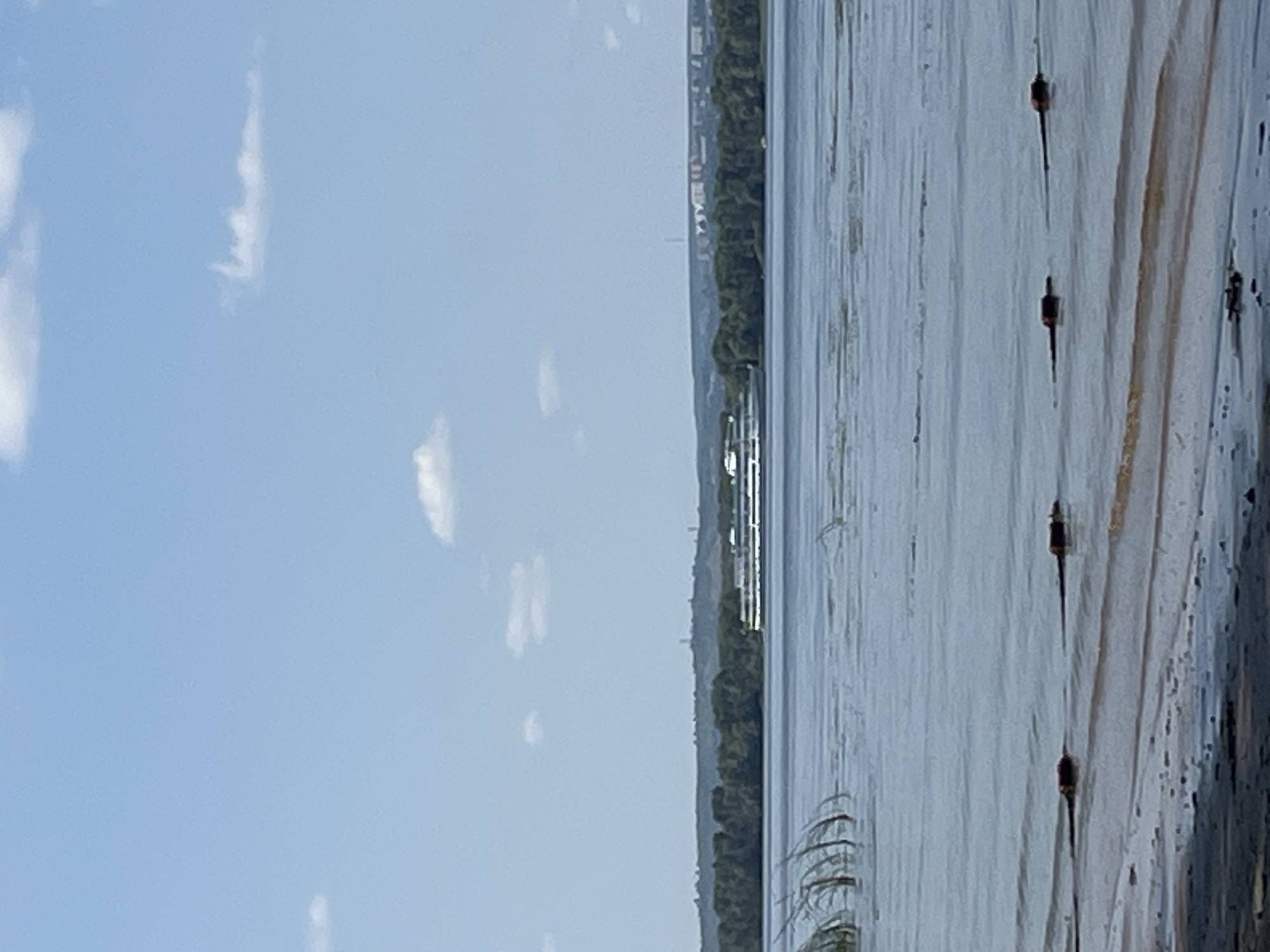 A wide, calm body of water stretches across the frame, with a sandy shoreline visible in the foreground. In the mid-ground, a long, white passenger ship is navigating the water, its decks clearly visible. Beyond the ship, a dense line of green trees forms a natural barrier along the distant shore. The sky above is a pale blue, dotted with a few wispy white clouds. Several buoys, marked by dark brown cylindrical floats, are positioned in the water near the shoreline. The scene appears to be a serene day on a river or lake, possibly in the city of Shumeika, Russia, given the context provided. No people are discernible in the image.