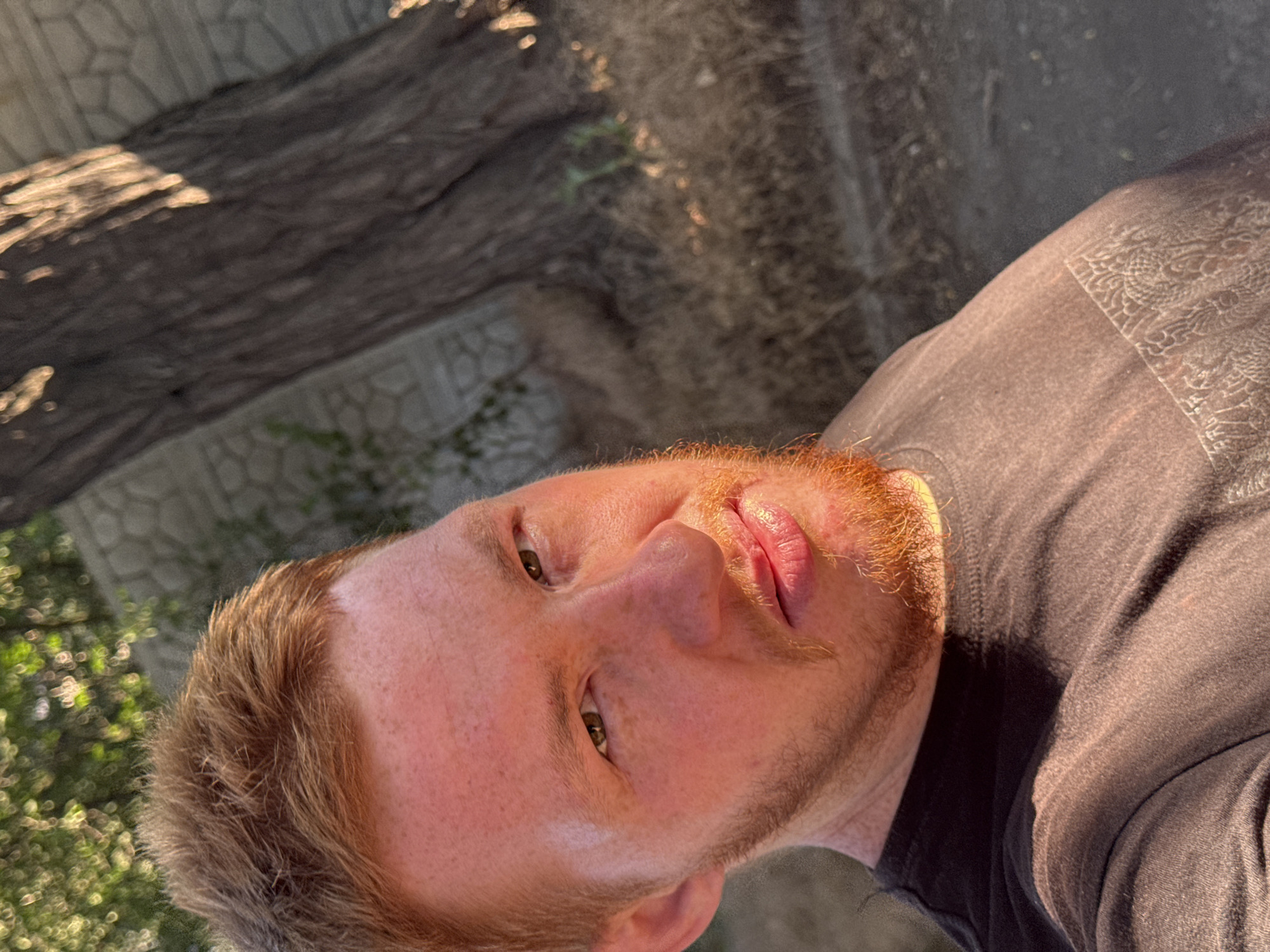 A close-up selfie of a man with fair skin, freckles, and reddish-brown hair and beard is featured in the image. He is wearing a dark t-shirt with a subtle pattern. His skin is flushed, likely from the sun, and he has light brown eyes. The background consists of a large tree trunk with textured bark, dry grass, and a stone wall. Sunlight illuminates the scene, casting shadows and highlighting textures. The overall environment suggests an outdoor setting during the daytime, possibly in a rural or park-like area.