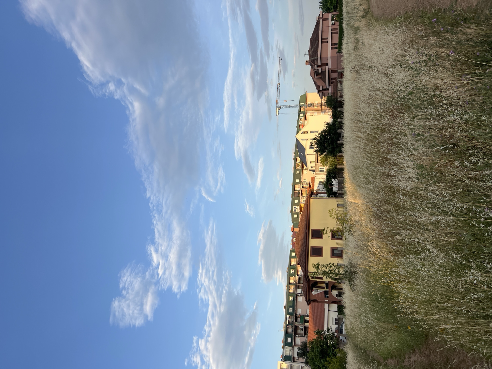 The image shows a cityscape in Podgorica, Montenegro, with a clear blue sky and scattered clouds above residential buildings. A construction crane is visible amidst the buildings. In the foreground is a field of tall, dry grass. There are no people visible. The scene is lit by sunlight.