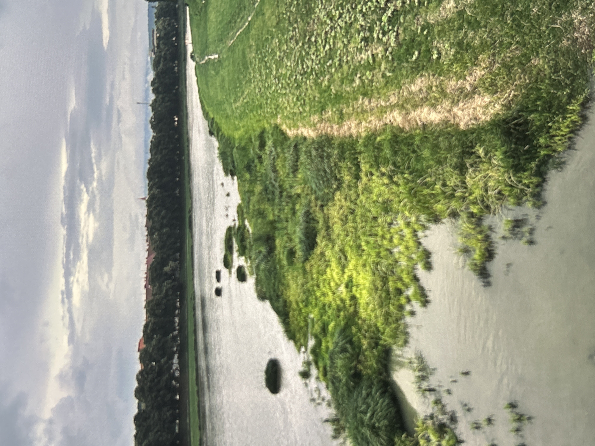 The image depicts a view of the Uzh River in Uzhhorod, Ukraine. In the foreground, the river flows along the left side of the frame, with patches of green reeds and grass growing in the shallow water and along the bank. A dirt path runs parallel to the river on the right bank, bordered by a large expanse of green grass. In the middle ground, a dense line of trees forms a dark green band along the far bank of the river. Beyond the trees, a cityscape is visible, characterized by buildings with red-tiled roofs, and in the distance, a few industrial structures or towers. The sky is overcast with dramatic, grey clouds. The overall impression is one of a natural landscape integrated with a city, under a somber sky.