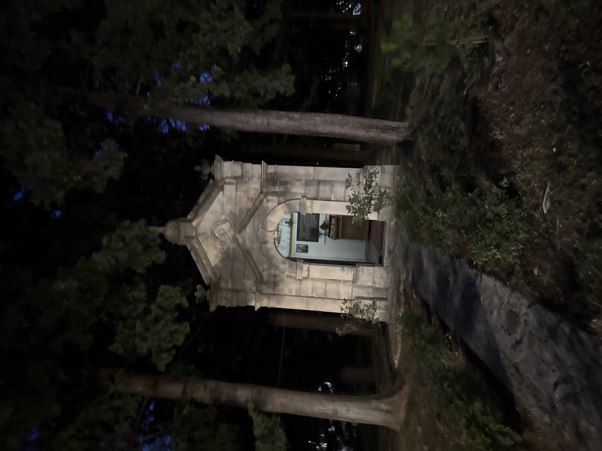 This media file depicts an outdoor scene at night, likely in Boreti, Montenegro, characterized by dim lighting and a somber atmosphere. The central subject is a small, ornate stone structure resembling a mausoleum or a shrine, featuring an arched entrance. Inside, hints of religious iconography or artifacts are visible. The structure is partially obscured by the dark silhouettes of trees, suggesting a wooded or forested environment. A paved path or walkway leads away from the structure, disappearing into the shadows. The overall impression is one of stillness and quiet, with the darkness amplifying the solemnity of the scene. The time of day is clearly nighttime, and the weather appears calm. No specific activity or event is taking place; the image captures a static moment. There is no discernible text visible in the media file.