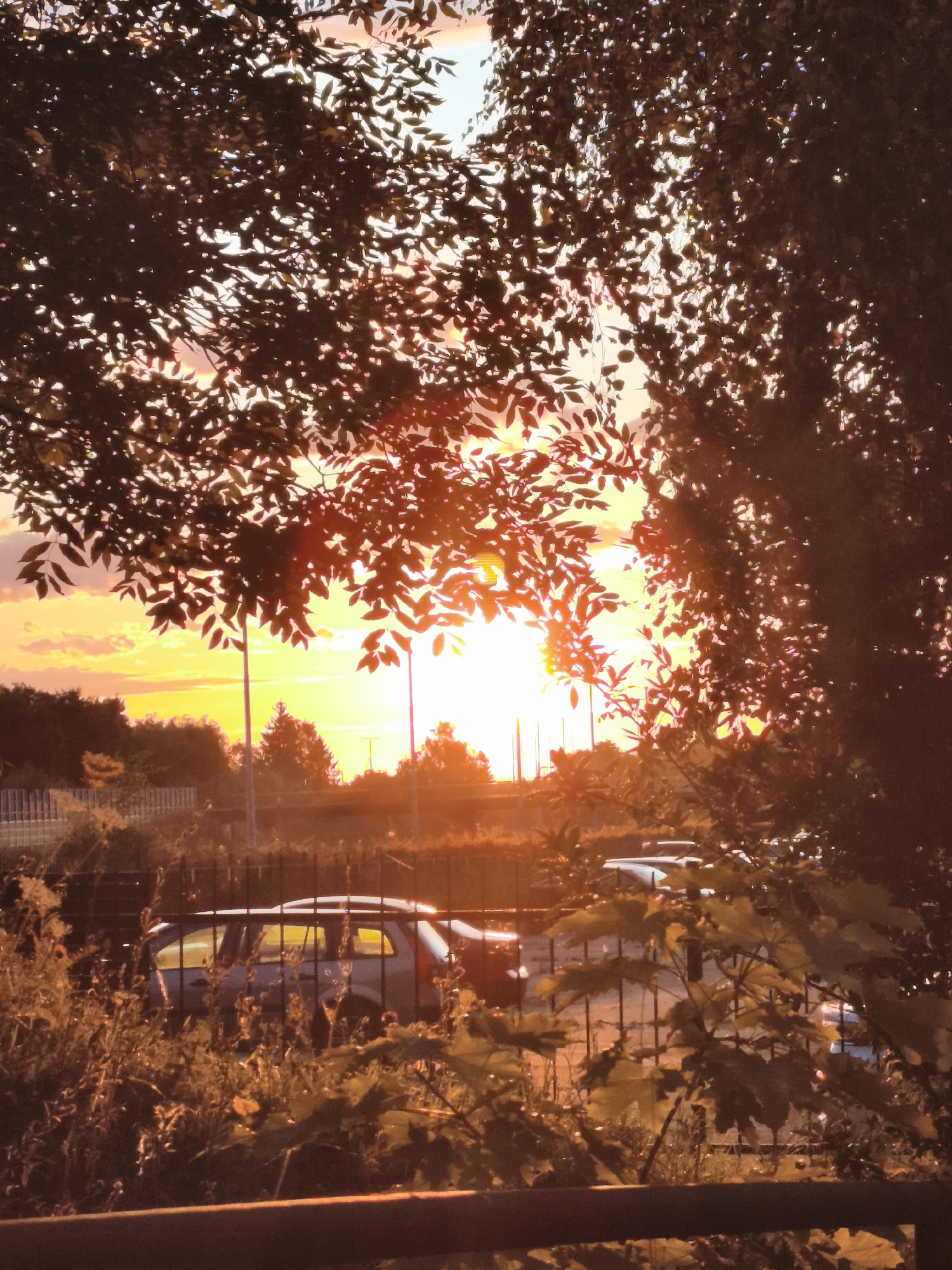 A sunset scene is captured through the branches and leaves of trees in the foreground. The sky is filled with a gradient of orange and yellow hues, with some light clouds visible. The sun is a bright, intense orb peeking through the foliage, creating a lens flare effect. In the middle ground, a fence separates an area with sparse vegetation from a parking lot where several cars are parked. The cars are mostly white and appear to be in good condition. The overall impression is one of a peaceful, urban evening in a location that could be Gdańsk, Poland, perhaps a residential area or a parking lot near a park or natural reserve, given the presence of trees and vegetation. The lighting suggests it is late afternoon or early evening. There are no people visible in the image.