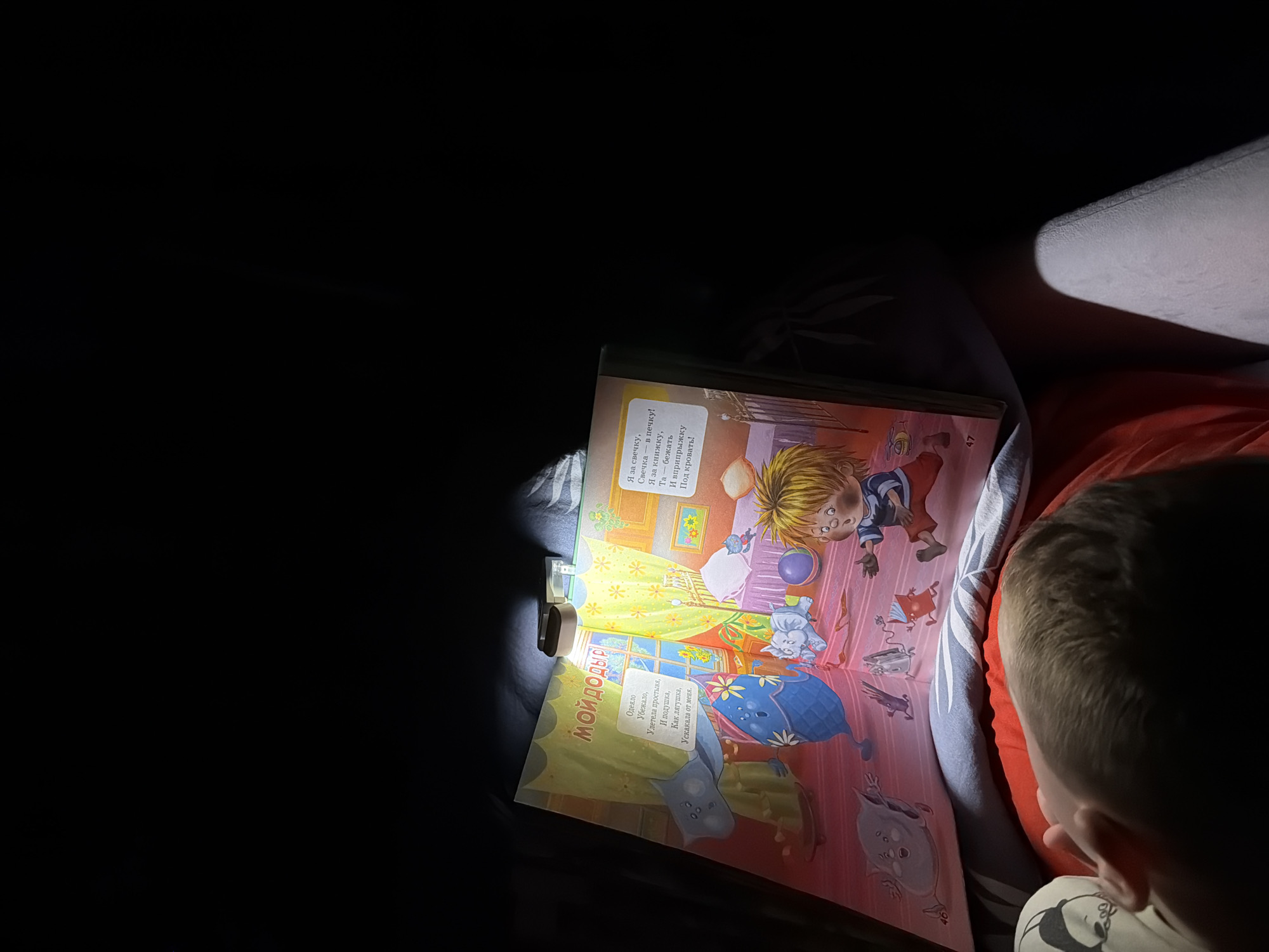 A child sleeps while being read to from a book titled "Moidodyr" by the light of a portable book lamp. The book is open and propped up, with colorful illustrations of characters and objects. The scene is dimly lit, with the book lamp providing the primary source of illumination. The child's head and shoulder are visible in the foreground, while the book and its illustrations fill the midground. The background is dark, suggesting that the reading is taking place at night or in a darkened room. The image does not contain any information that would allow for a determination of its location in Khabarovsk, Russia.