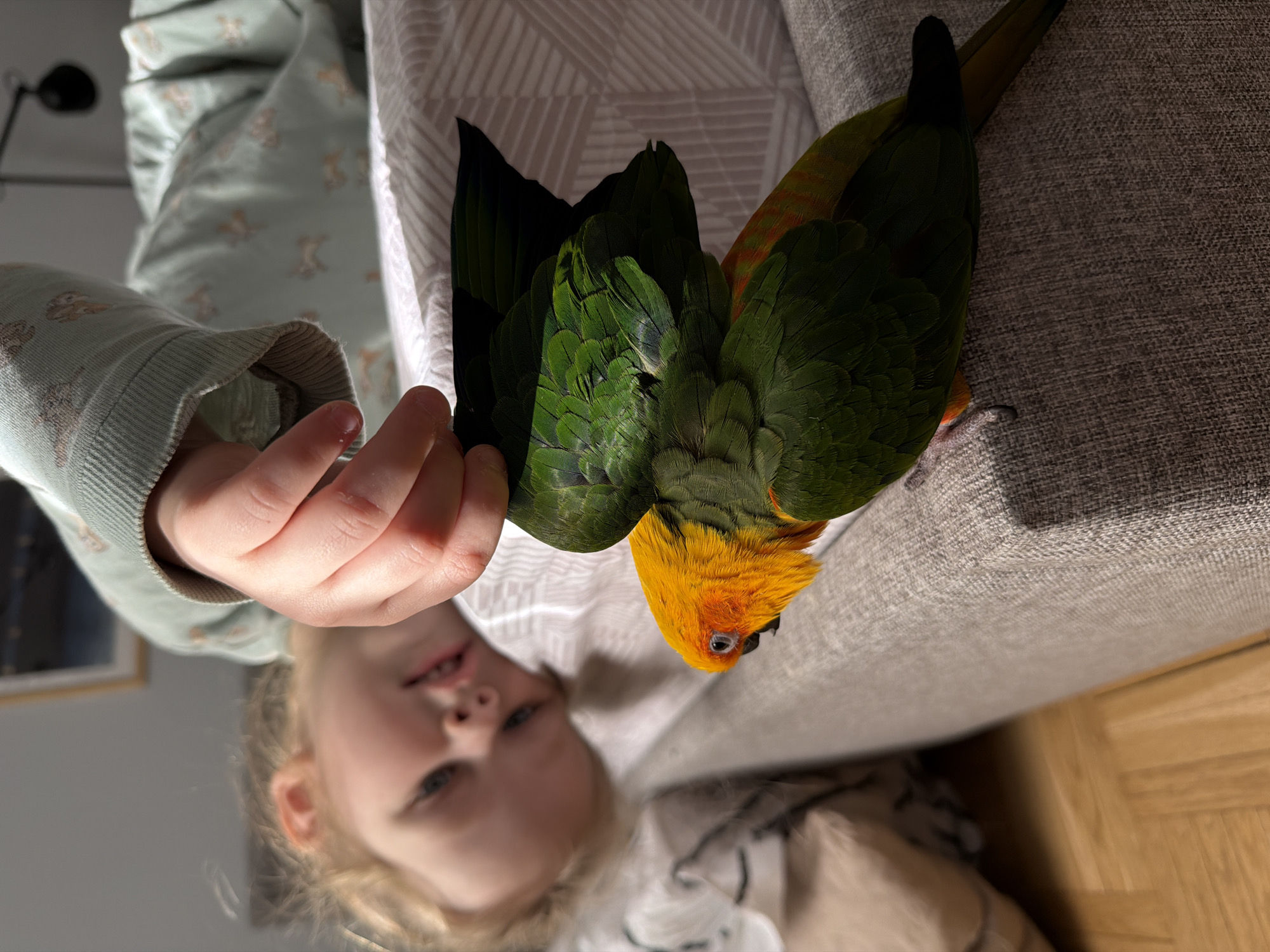 A young girl with blond hair is positioned in the lower portion of the image, looking up towards the camera. Her right hand is extended towards a colorful bird perched on a light gray textured surface. The bird has green and yellow feathers with an orange head. The background includes a white patterned material and a wooden floor. The setting is indoors. There is no information to confirm the location of this image is in Khimki, Russia.