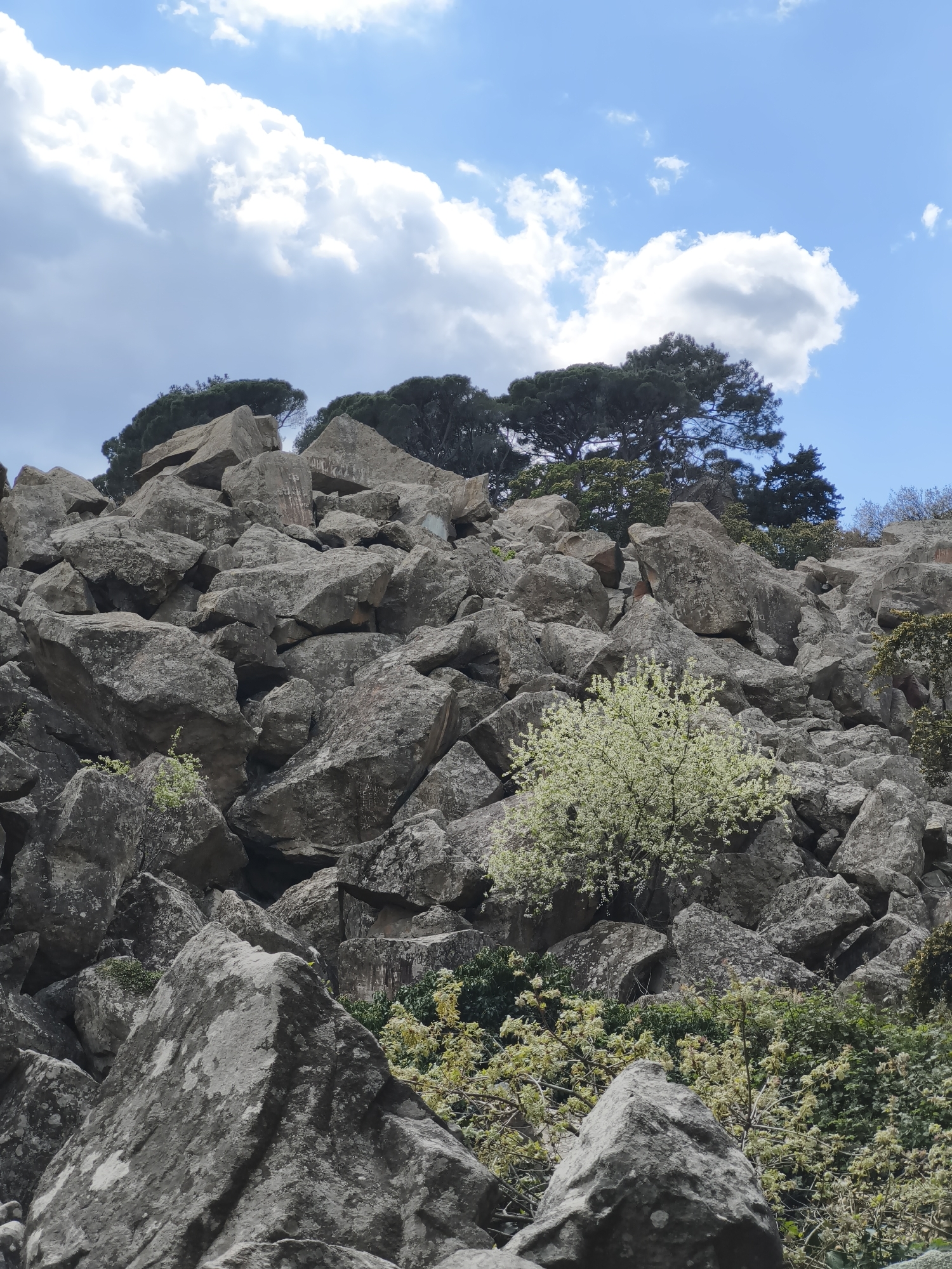 A rocky terrain landscape located in Алупкинский городской совет, Ukraine, featuring a steep hillside covered with numerous large, gray rocks and boulders. Sparse vegetation is visible, including small flowering bushes with white blossoms amidst the rocks, and larger trees situated at the top of the rocky hill. The sky is blue with scattered white clouds, suggesting daylight conditions. No people are visible in the scene.