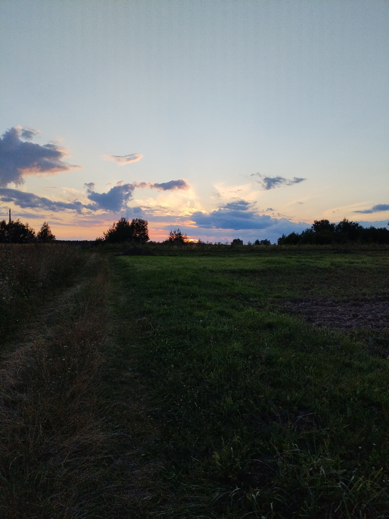 This is a landscape photograph taken at dusk in the city of Bialynichy, Belarus. The image captures a wide view of a rural area with a field in the foreground and a tree line in the background. The sky is a blend of pale blue and soft orange hues, with scattered clouds tinged with pink and yellow from the setting sun. The sun itself is just below the horizon, with rays of light emanating upwards between the clouds.
The foreground is dominated by a dark, grassy field. To the left, a path of dry, tall grass is visible, leading diagonally into the scene. The field transitions to a darker, richer green further back, with some areas appearing to be recently plowed or disturbed soil.
A dense line of trees forms the horizon, with their silhouettes dark against the twilight sky. To the far left, a solitary utility pole is partially visible amongst the trees. The overall atmosphere is serene and quiet, characteristic of a rural evening. There are no people or animals visible in the image.