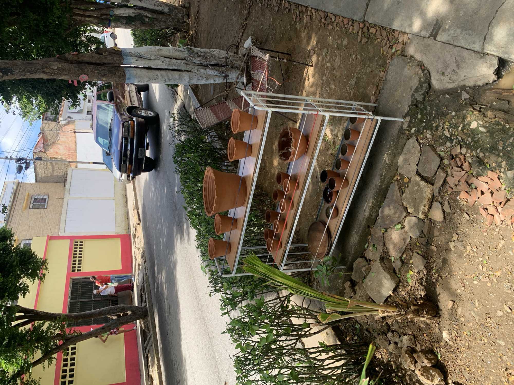The image depicts a street scene in Santa Ana, Venezuela. In the foreground, a metal shelving unit displays an assortment of terracotta pots. The shelves are wooden, and the unit is situated next to a dense green bush. To the right of the shelf, a weathered chair with a checkered seat is partially visible. A young palm tree with green fronds stands to the left of the shelving unit, rooted in the rough, rocky ground.
Beyond the immediate foreground, a street runs horizontally across the image. A dark red SUV is parked on the street, facing the viewer. Further down the street, a light-colored car is also visible. On the left side of the street, a building with a bright yellow facade and pink trim is prominent. Three individuals are standing near the entrance of this building. One person, wearing a red shirt and jeans, is interacting with another person who appears to be an older woman in maroon pants. A third person, partially obscured by a tree, is also present. The background shows more buildings and trees, characteristic of an urban environment. The ground in the foreground is a mix of soil, rocks, and some debris, with a concrete curb running alongside the street.