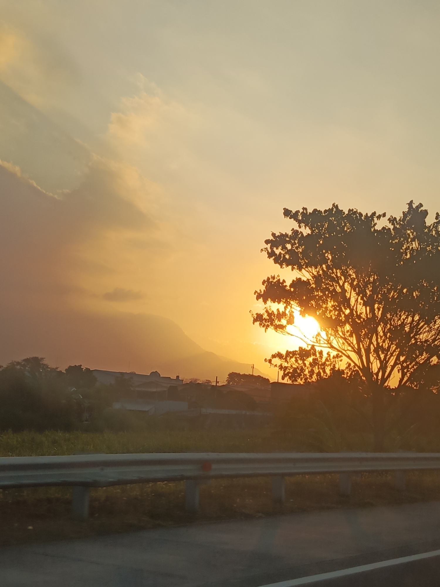 A sunset scene unfolds over Gunung Gangsir, Indonesia. The sky is a warm gradient of orange and yellow, with hints of pink and light blue. Wispy clouds drift across the upper left portion of the image. A silhouetted tree, its branches full of leaves, dominates the right side of the frame, with the sun's rays bursting through its foliage. In the middle ground, a hazy silhouette of mountains can be seen. Below the mountains, a collection of buildings, some appearing to be residential or industrial structures, are visible. A guardrail runs horizontally across the lower third of the image, separating a paved road in the foreground from a grassy area behind it. The overall impression is one of a serene natural landscape at dusk.