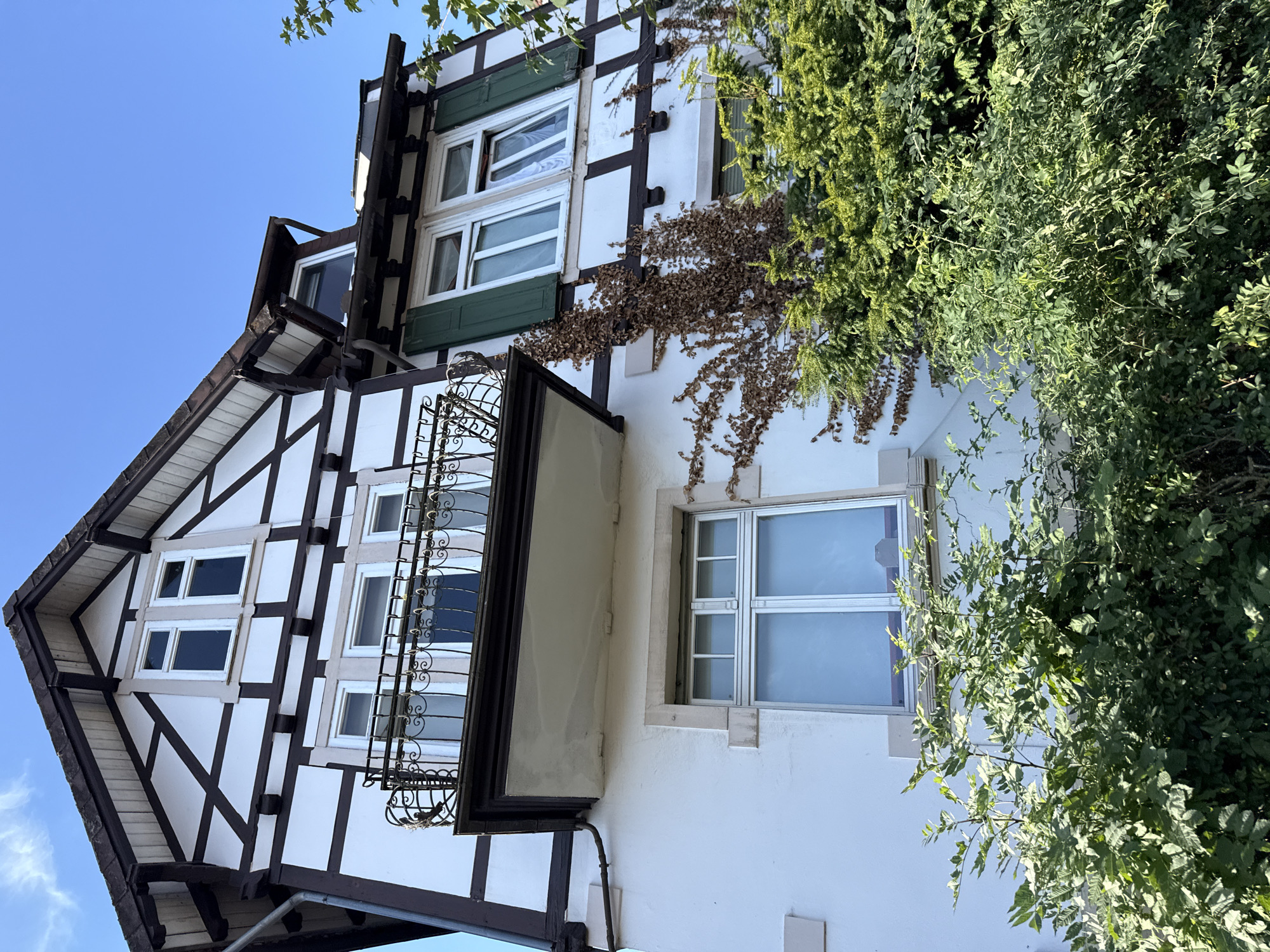 The image shows a half-timbered house in Bad Sachsa, Germany. The house has white stucco walls with dark brown timber framing, a steep roof, and multiple windows. A small balcony with an ornate iron railing juts out from the upper story. Green shutters are visible on some windows. Lush green vegetation, including trees and bushes, partially obscures the lower part of the house. The sky is clear and blue. No people are present in the image.