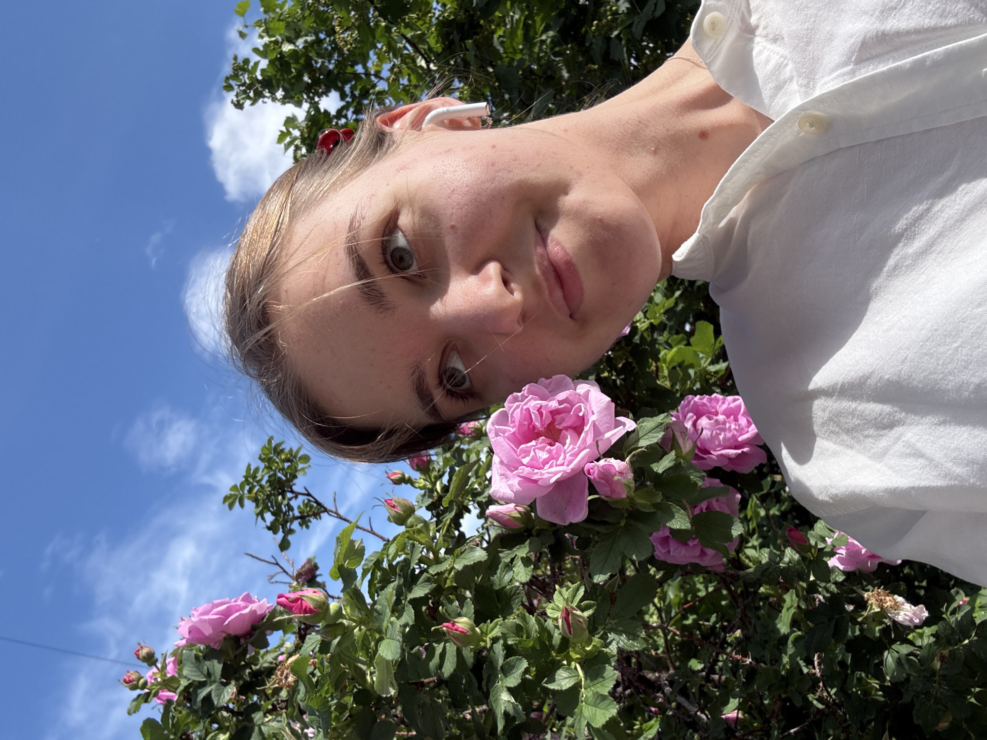 A young woman is captured in a selfie taken outdoors on a bright, sunny day. The image is rotated 90 degrees clockwise, showing her face prominently in the upper half of the frame, looking directly towards the viewer with a neutral expression. She has fair skin with light freckles and her blonde hair is pulled back, revealing a small red hair clip and a white earpiece in her left ear. She wears a white collared shirt, visible on her shoulder and upper body.
In the lower portion of the image, and slightly behind her, is a vibrant bush adorned with several open pink roses and numerous pink buds, indicating a full bloom. Lush green foliage surrounds the flowers. The background consists of a clear blue sky with soft, wispy white clouds and some green tree leaves visible at the very top. The strong sunlight casts shadows, suggesting midday or early afternoon. No visible text is present.