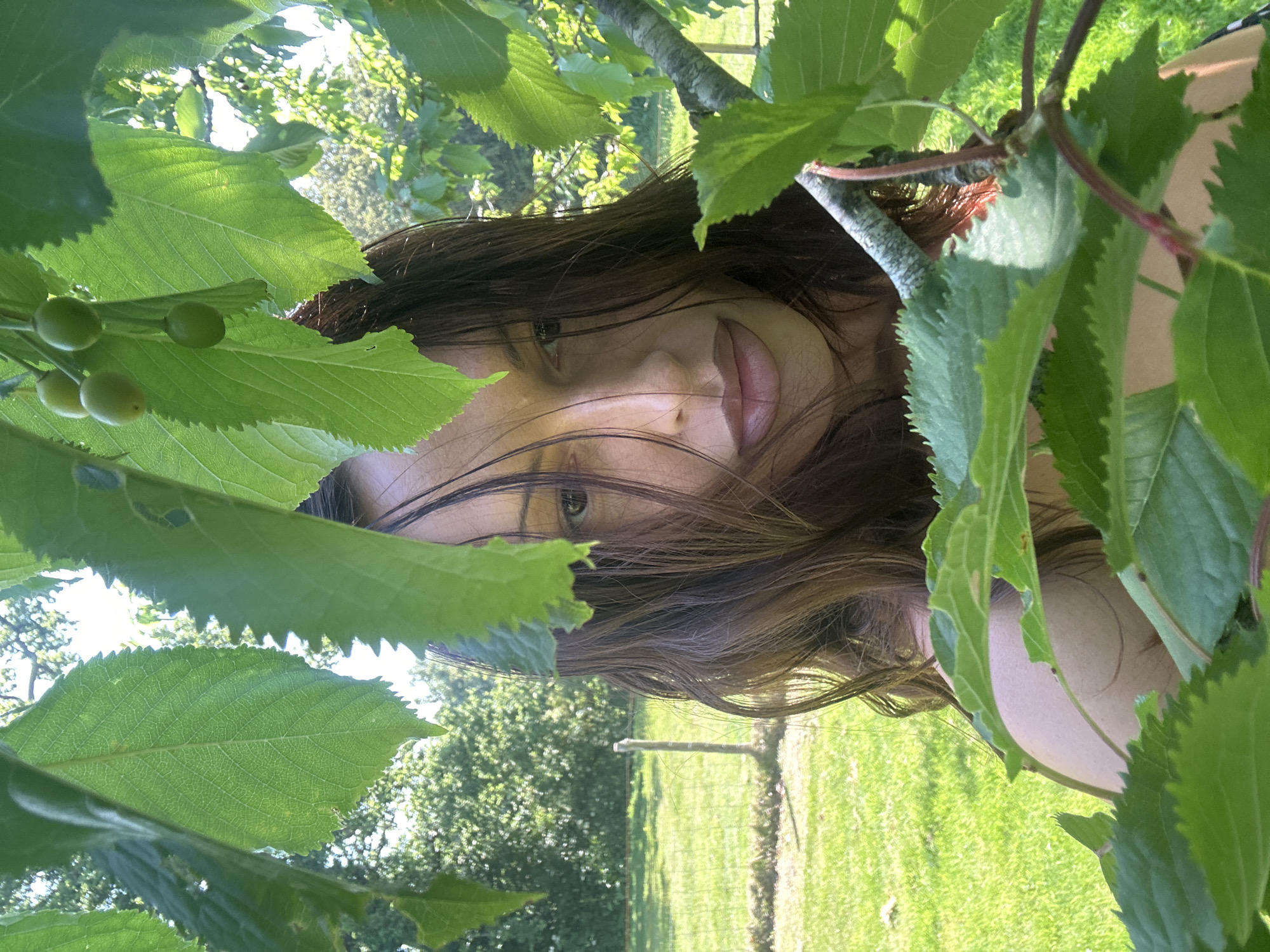 The image shows a person partially obscured by green leaves and branches, possibly in a garden or orchard setting. The person's face is visible, with brown hair. The background includes a green lawn, trees, and what appears to be a fence or wooden structure. The location is not identifiable as Tunbridge Wells, United Kingdom, based on the visual elements of the image.
