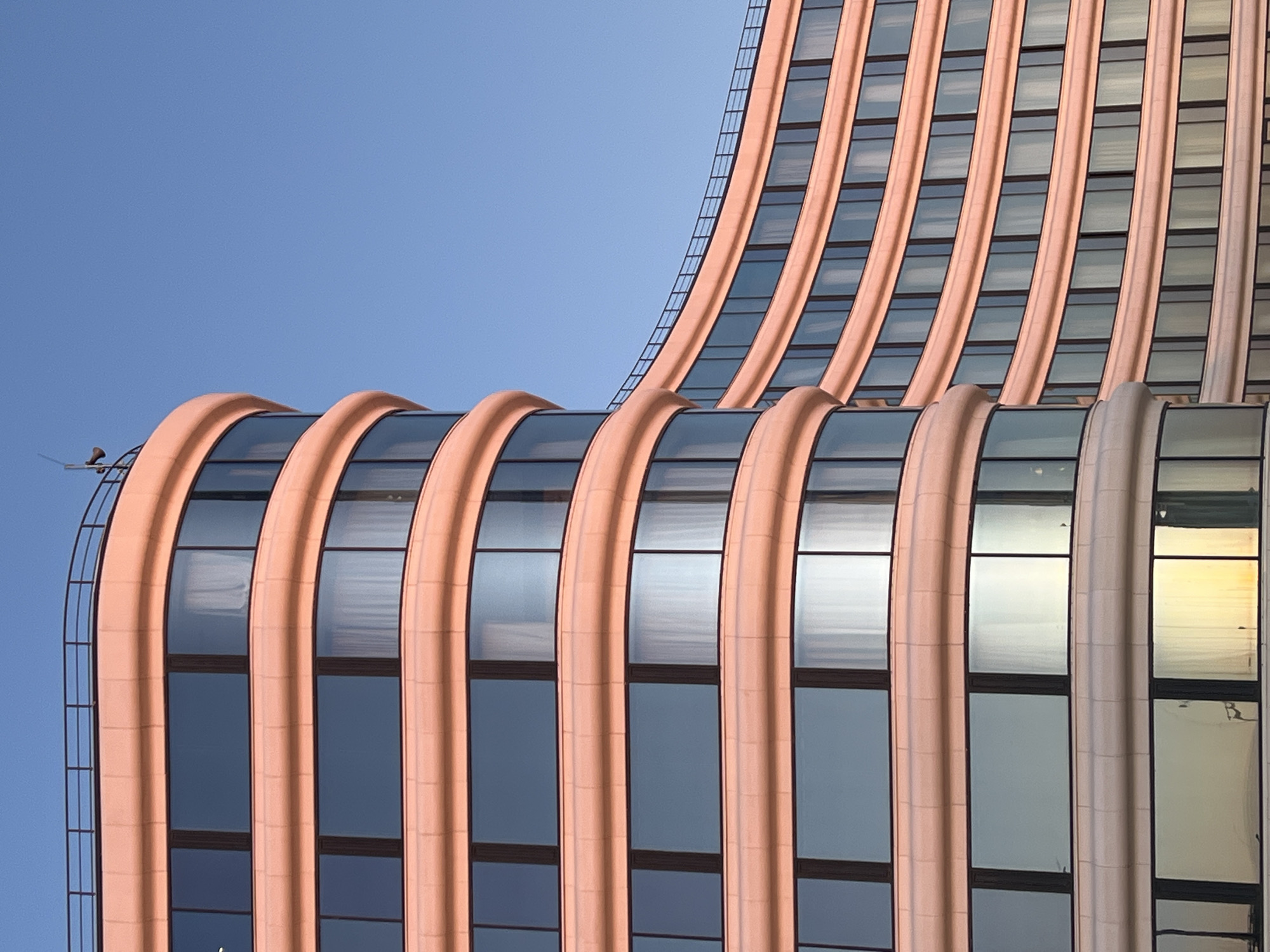 The image captures a section of the curved facade of a modern building in Saint Petersburg, Russia. The building features rows of rectangular windows set within curved, peach-colored vertical supports. The windows reflect the sky and other light sources, creating a varied appearance. The building's architecture is distinctive with its smooth, undulating form. The sky is a clear, bright blue. A metal safety ladder is visible on the edge of the building.