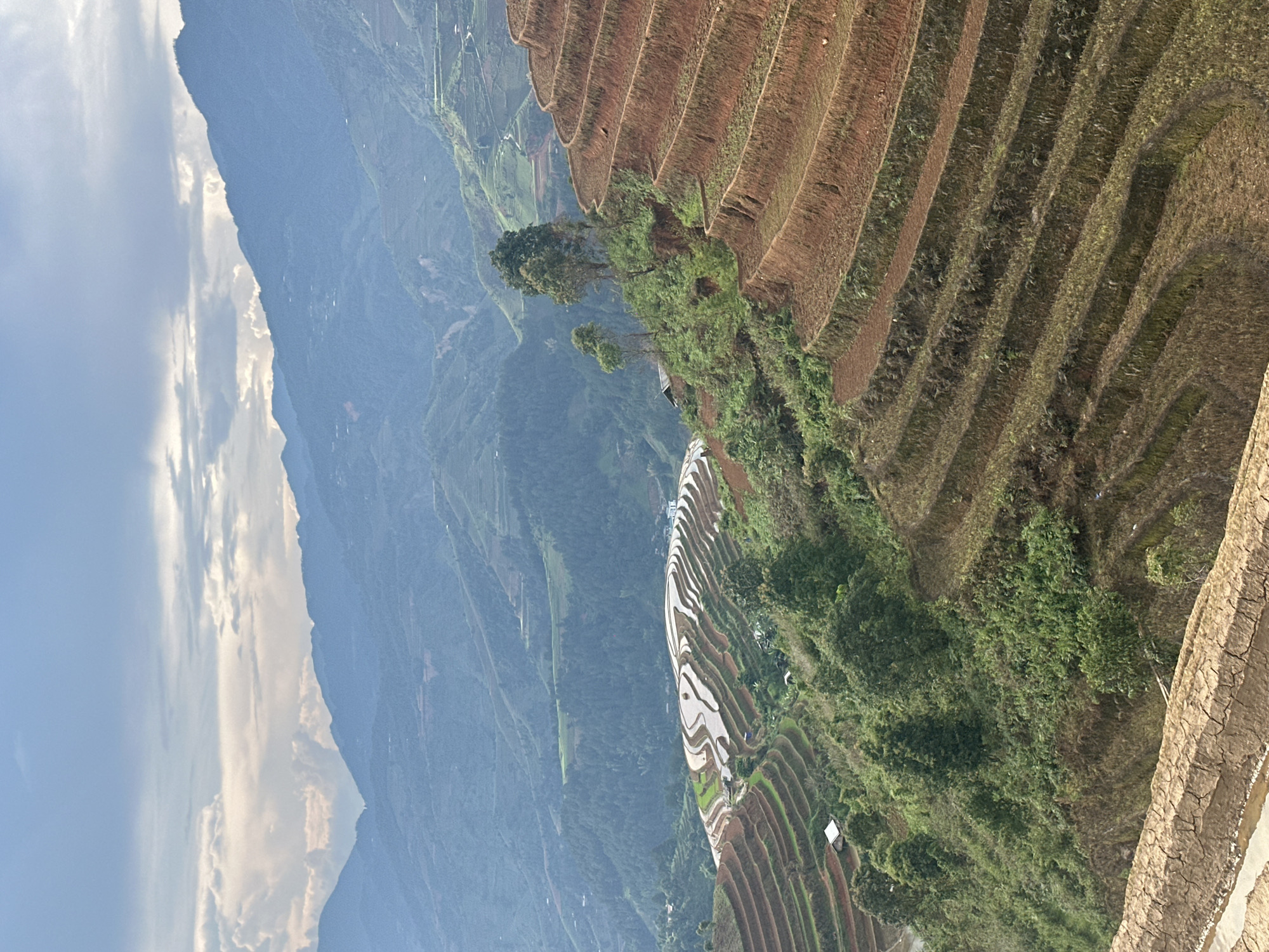 This image captures a breathtaking, high-angle panoramic view of a mountainous landscape sculpted by extensive rice terraces. The scene is dominated by layers of natural and man-made contours, suggesting a remote agricultural region.
In the foreground and midground, numerous rice terraces are carved into the steep hillsides. Some terraces display the rich reddish-brown color of freshly tilled soil, while others are filled with water, creating reflective, silvery-white pools that mirror the sky. Patches of green vegetation, likely young rice or other plants, are visible within some terrace sections, contrasting with the earthy tones. A few clusters of green trees grow along ridges and amidst the terraces, adding texture and depth to the landscape. A small, simple white building or hut can be spotted nestled among the terraces in the mid-distance. On the far right, a light-brown, textured wall or barrier, possibly made of stone or dried earth, partially frames the scene.
Beyond the intricate terraces, successive ranges of mountains extend into the hazy distance, their peaks fading from deep green to soft blue, emphasizing the vastness of the terrain. The sky, visible in the upper left, is a mix of clear blue and soft, scattered white clouds, suggesting fair weather during the day, likely morning or late afternoon given the gentle lighting.
No people or explicit activities are visible, but the presence of the carefully constructed rice terraces strongly implies human agricultural endeavor. There is no visible text in the image. The scene evokes a sense of tranquility and the harmonious integration of human effort with the natural environment, characteristic of mountainous regions like Lao Chai, Vietnam.