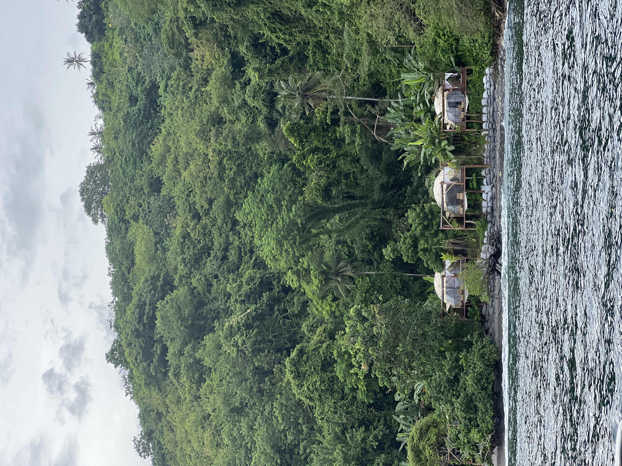 The image, when viewed in correct orientation, presents a serene coastal landscape in Nusa Penida, Indonesia. A verdant, densely forested hillside, lush with various tropical trees and foliage, dominates the left side, extending upwards towards a cloudy sky. Numerous tall palm trees and broad-leafed banana plants are interspersed throughout the dense greenery.
Along the base of the hillside, where it meets the water, several unique dome-shaped structures are visible. These appear to be glamping tents or eco-lodges, each constructed on a raised wooden platform with a small attached deck. Three such structures are clearly identifiable, showcasing their distinctive geodesic design with transparent or semi-transparent panels. The shoreline directly in front of these accommodations features a rocky embankment, fortified in places by grey sandbags, suggesting measures for erosion control or a natural barrier.
The right side of the frame is filled by a body of water, likely the ocean or a large bay. The water's surface is textured with ripples and reflections, indicating gentle movement. The sky, visible in the upper left portion of the image, is overcast with soft grey clouds, suggesting a cloudy daytime. No individuals or explicit activities are depicted, portraying a tranquil and natural scene. There is no visible text.