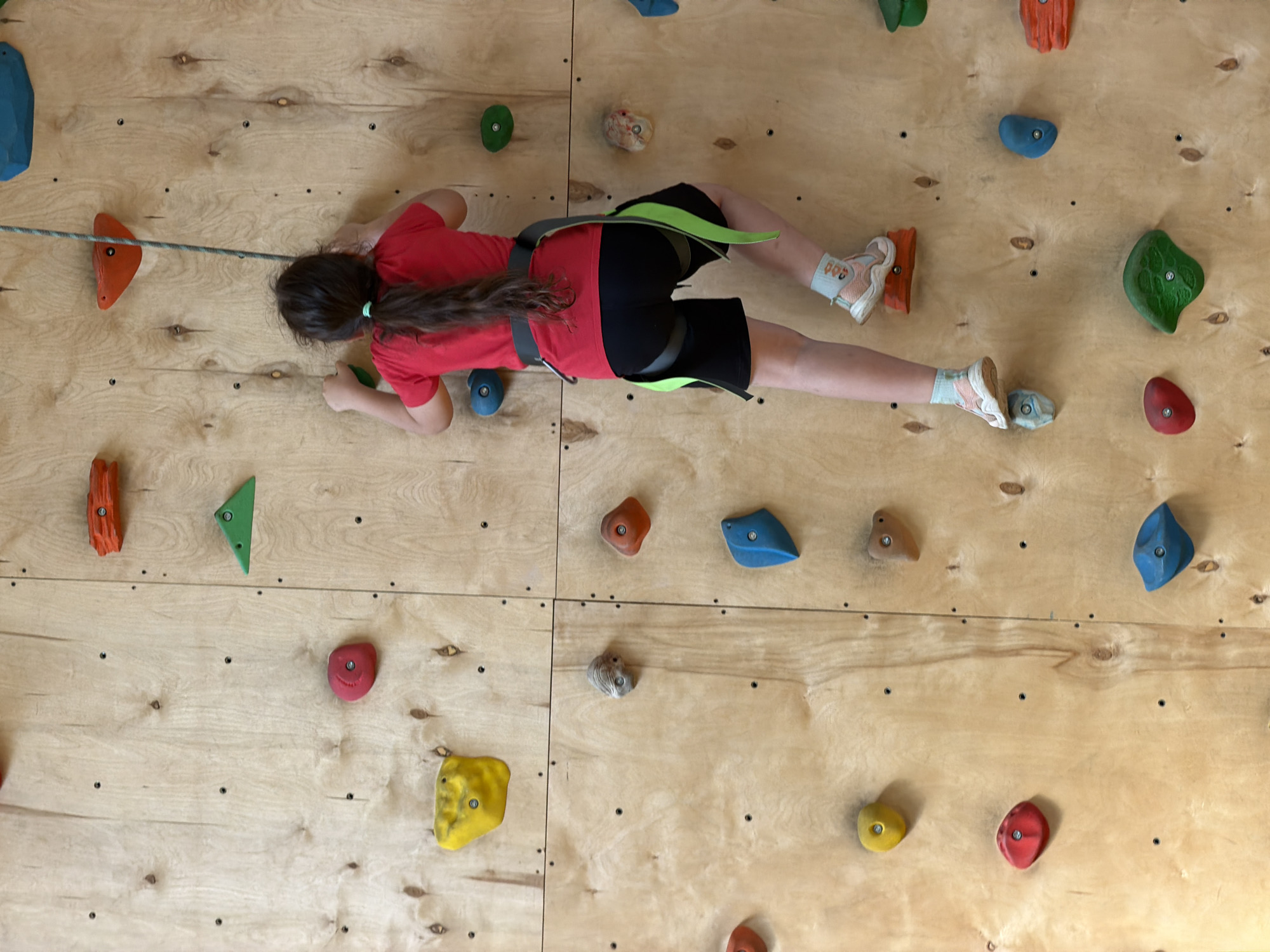 A young girl is climbing an indoor rock wall. She is wearing a red shirt, black shorts, socks, and climbing shoes. She is also wearing a climbing harness with a rope attached. Her dark brown hair is pulled back in a ponytail. The climbing wall is made of plywood and has various colored plastic climbing holds attached. The scene is well-lit. The precise location in Izhevsk, Russia, is not discernible from the image.