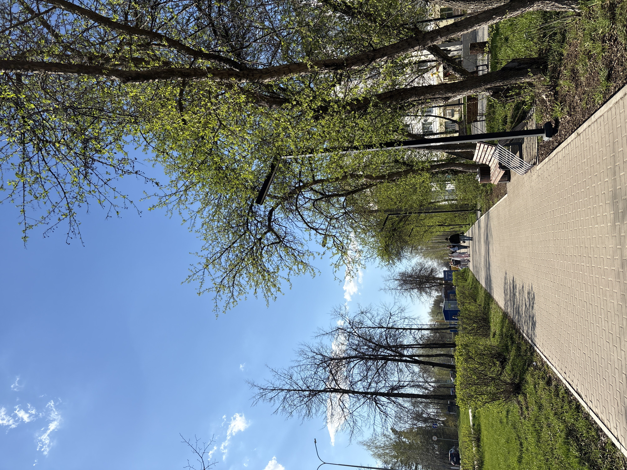 The image shows a brick-paved sidewalk in Chaikovsky, Russia, lined with trees and benches. The sky is blue with scattered clouds. People are walking in the distance on the sidewalk. There are buildings visible behind the trees, on the right, and grass and bushes along the side of the sidewalk. Some trees have new spring growth while others are still bare.