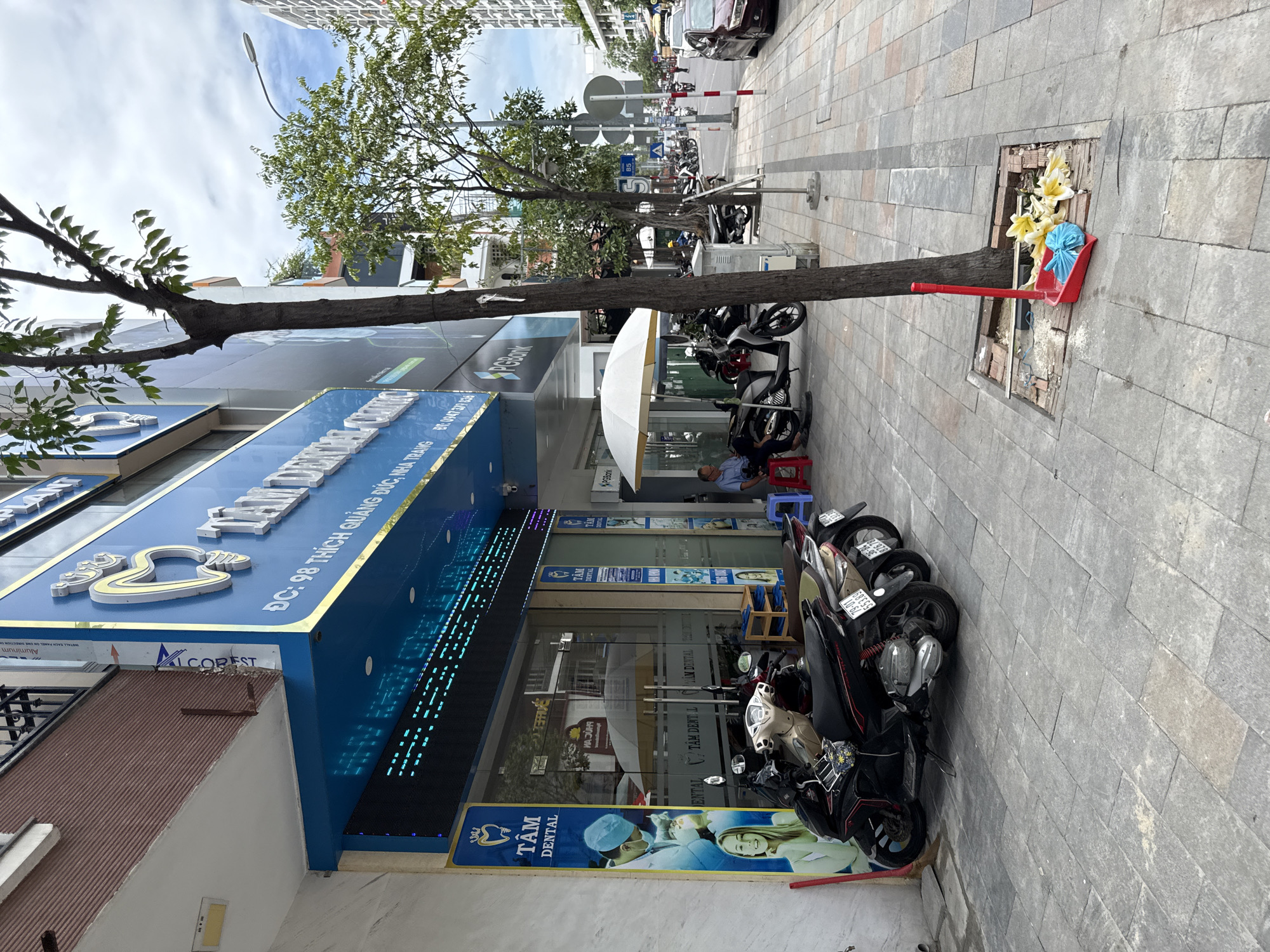The image shows the exterior of a dental clinic on a sidewalk in Nha Trang, Vietnam. The clinic, named "TÂM DENTAL," has a large blue and gold sign with the clinic's name and logo, and an address that reads "DC: 98 THÍCH QUẢNG ĐỨC, NHA TRANG." A digital display showing text in Vietnamese is visible beneath the main sign. Several motorcycles are parked in front of the clinic entrance, which features glass doors and large display windows. Two men are seated on red stools outside the clinic, one near the entrance and another further down the sidewalk. A large white umbrella provides shade for one of the seated men and a motorcycle. The sidewalk is paved with stone tiles, and a tree grows in a square pit in the sidewalk. A red dustpan with a blue bag and some yellow flowers is placed near the base of the tree. A street lamp is visible in the background, along with more trees, buildings, and traffic, including cars and motorcycles. The sky is overcast.