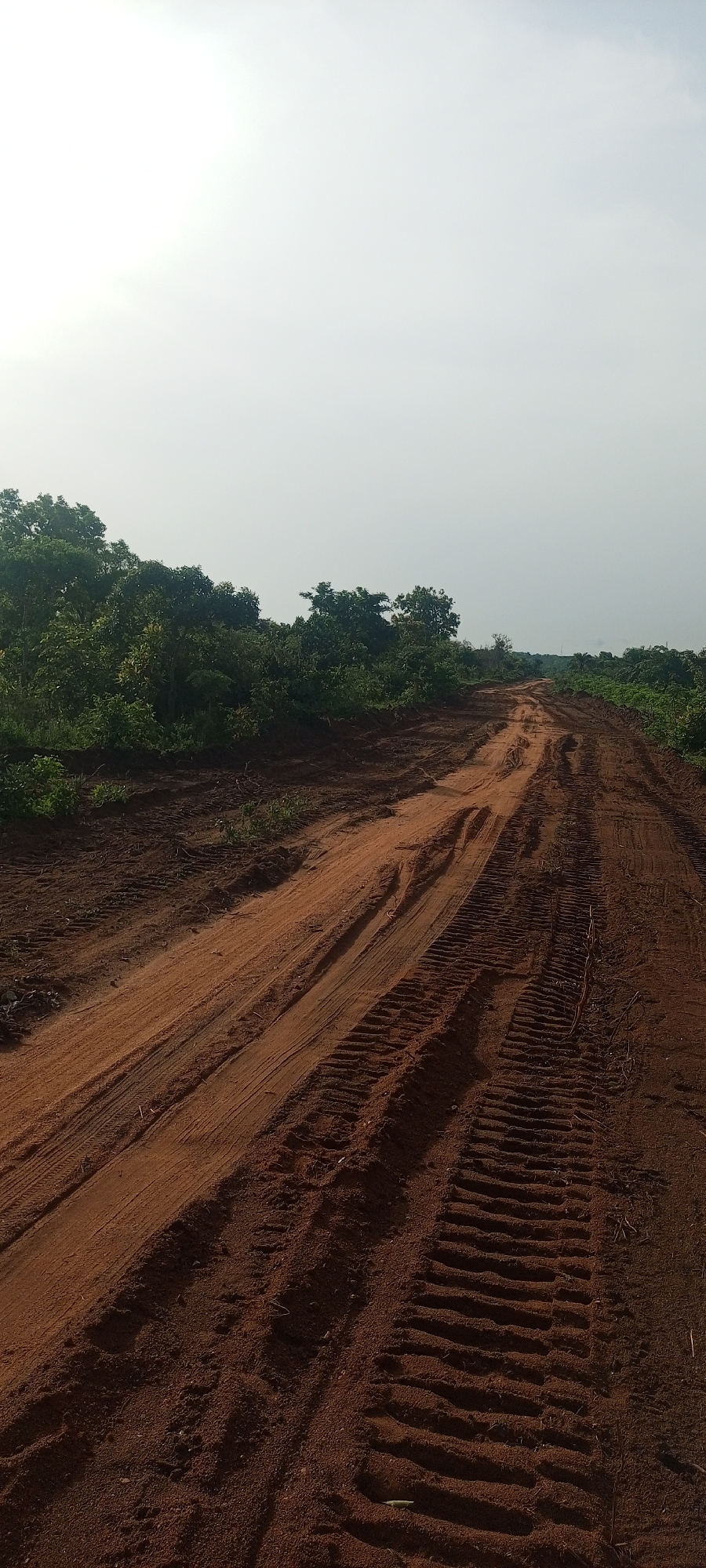 This media file depicts an unpaved dirt road winding through a natural, verdant landscape. The road, made of reddish-brown earth, dominates the lower and mid-ground, stretching from the foreground towards the horizon and gently curving to the right. Prominent, deep tire tracks are etched into the sandy soil, particularly on the right side, suggesting the recent passage of heavy vehicles or machinery.
Dense green vegetation, including trees and bushes, borders both sides of the road, forming a thick natural barrier. The foliage appears lush and untamed, indicative of a tropical or subtropical environment. The sky occupies the upper portion of the image and is bright, hazy, and almost white, suggesting either an overcast day or strong, high sunlight causing overexposure. There are no distinct shadows to clearly determine the exact time of day, but it is certainly daylight.
No people or active events are visible in the image. The scene portrays a quiet, possibly remote or developing area. The characteristic reddish soil and dense bushland are consistent with the provided location context of Otunade, Nigeria. The road appears to be a functional track, possibly an access route for agriculture, forestry, or a construction site, given the appearance of cleared land and vehicle tracks. There is no visible text.