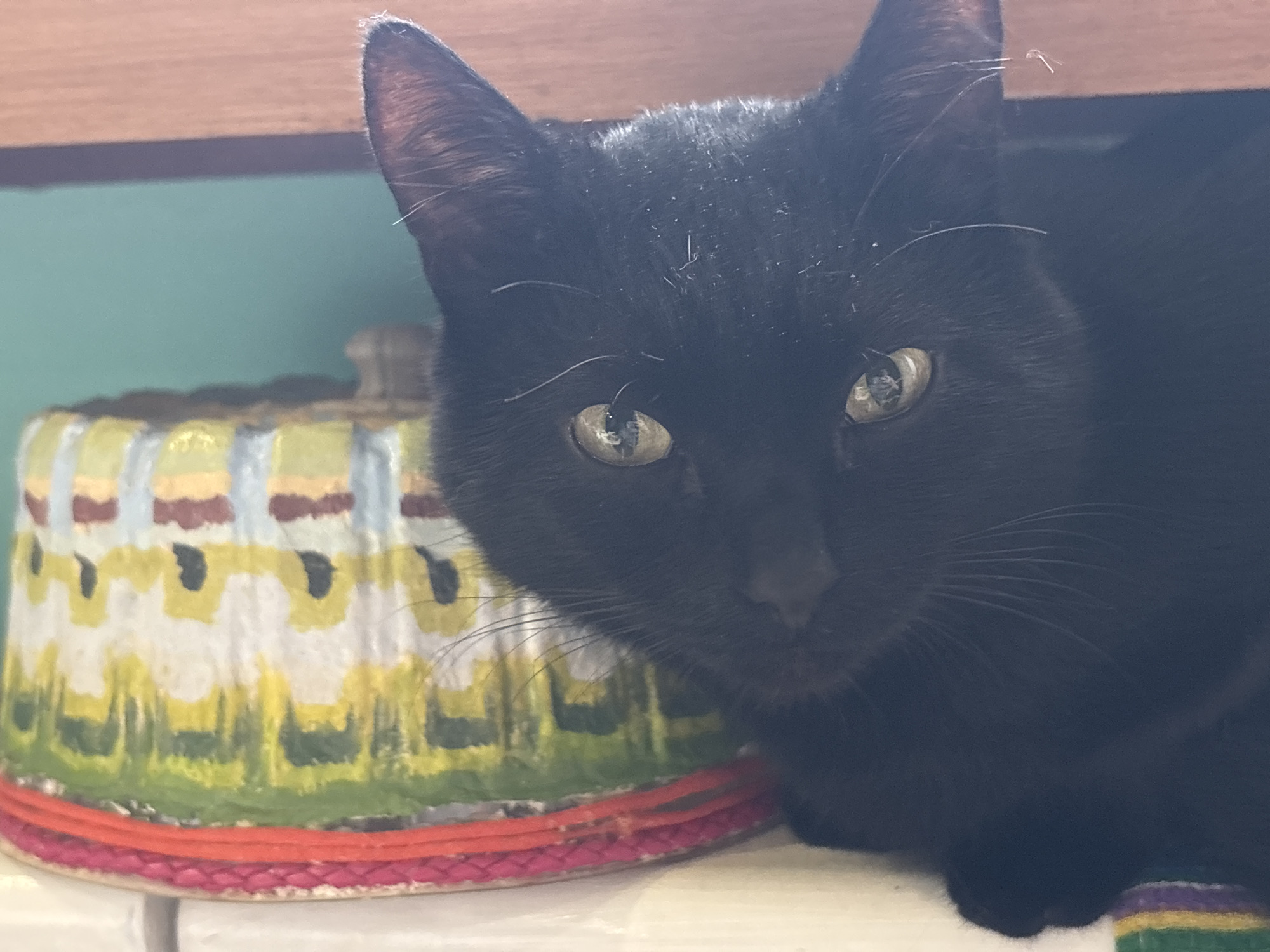 A close-up shot shows a black cat sitting or lying next to a cylindrical container decorated with a colorful pattern. The cat is facing forward, with its ears perked up and its green eyes visible. The container has a red rope-like trim around its base, and the patterned design includes green, yellow, brown, and white colors. The background includes a light brown shelf-like structure and a blue-green wall.
The location of Марковский, Russia, is not discernible in the image.