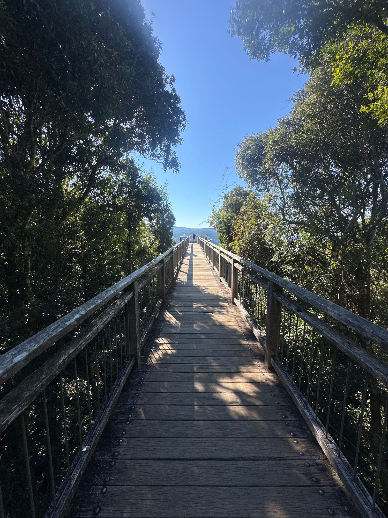 A wooden boardwalk extends into the distance, flanked by lush green trees on either side. The sky above is a clear, bright blue. Sunlight casts dappled shadows across the boardwalk, highlighting the texture of the wooden planks and the metal railing. In the far distance, a few indistinct figures can be seen standing at the end of the boardwalk, looking out towards a hazy horizon where land meets the sky. The scene suggests a serene and natural environment, possibly a lookout point or a walking trail within a park or forest. Based on the visual cues and the provided location, this is likely a boardwalk at Dorrigo Mountain, Australia, offering views of the surrounding landscape.