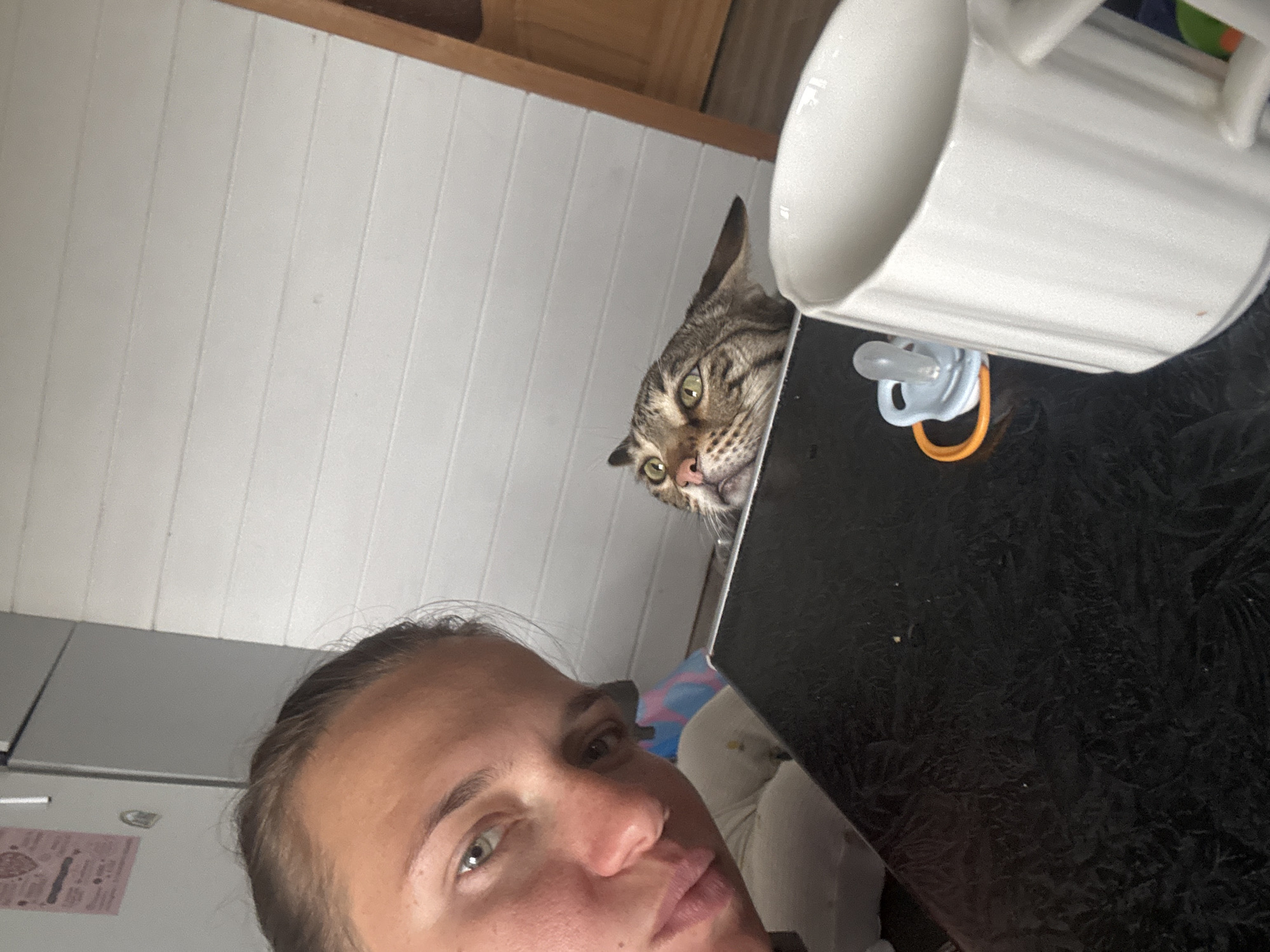 A low-angle selfie captures a person with fair skin and short, light brown hair, likely female, looking slightly off-camera. A tabby cat with green eyes peers from above the edge of what appears to be a black countertop. A white mug sits on the countertop. To the left, a white paneled wall is visible. Below the selfie taker a white appliance can be seen. A pacifier lies on the countertop near the mug. There is no indication in the photo that it was taken in Раздолье, Russia.