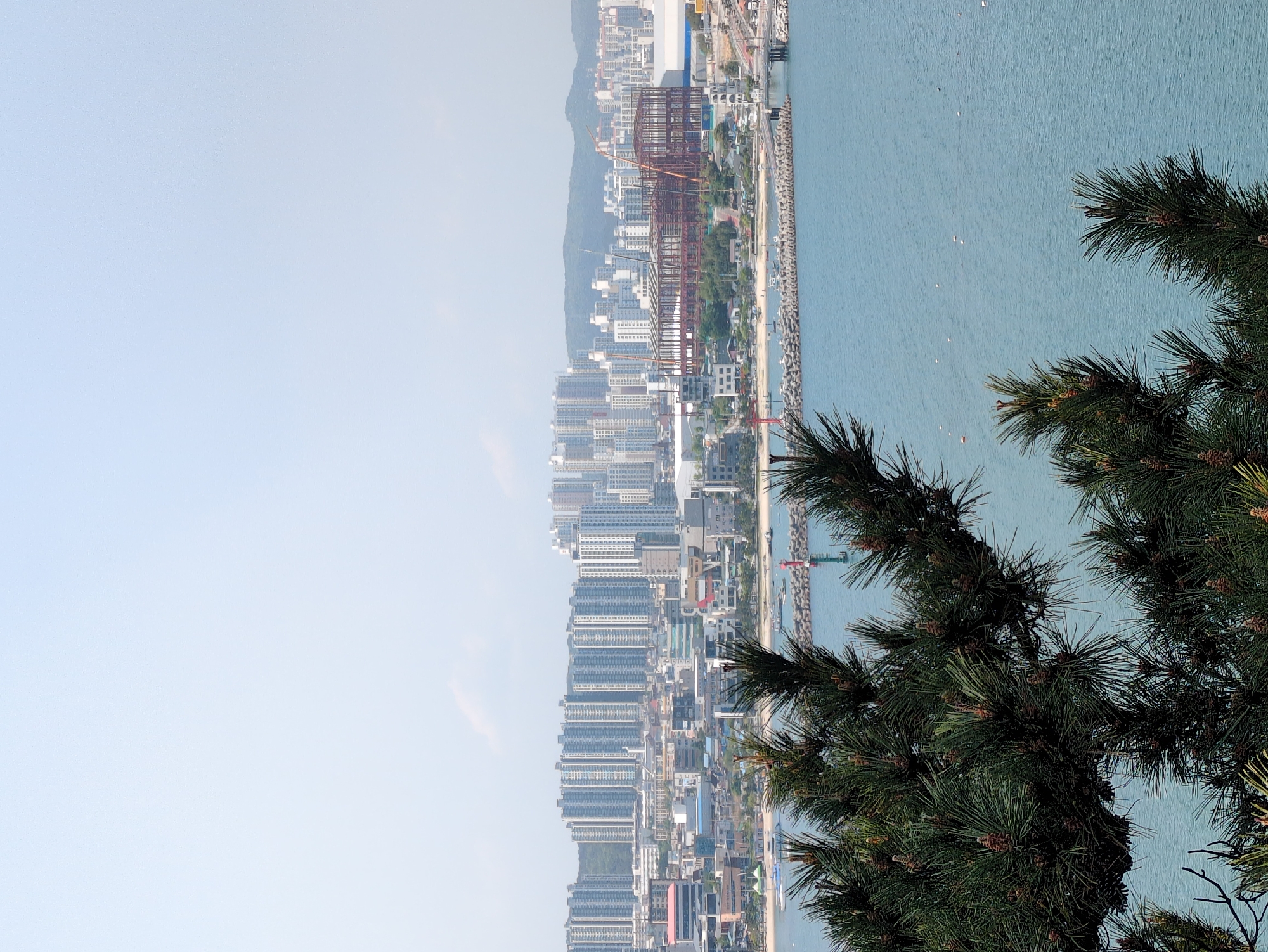 The image presents a landscape view, seemingly taken from an elevated position overlooking Ulsan, South Korea. The cityscape is dominated by numerous high-rise apartment buildings densely packed together, extending towards the coast. A large steel-framed structure, possibly under construction, stands out among the buildings.
Adjacent to the city is a body of water, likely the sea, with a breakwater or pier extending into it. Several boats or small vessels are visible on the water's surface.
In the foreground, a pine tree with dense foliage partially obscures the view, adding a natural element to the urban landscape. The sky is pale and overcast, suggesting hazy conditions. The image does not depict any people or interactions. The scene appears static, with no observable actions taking place.