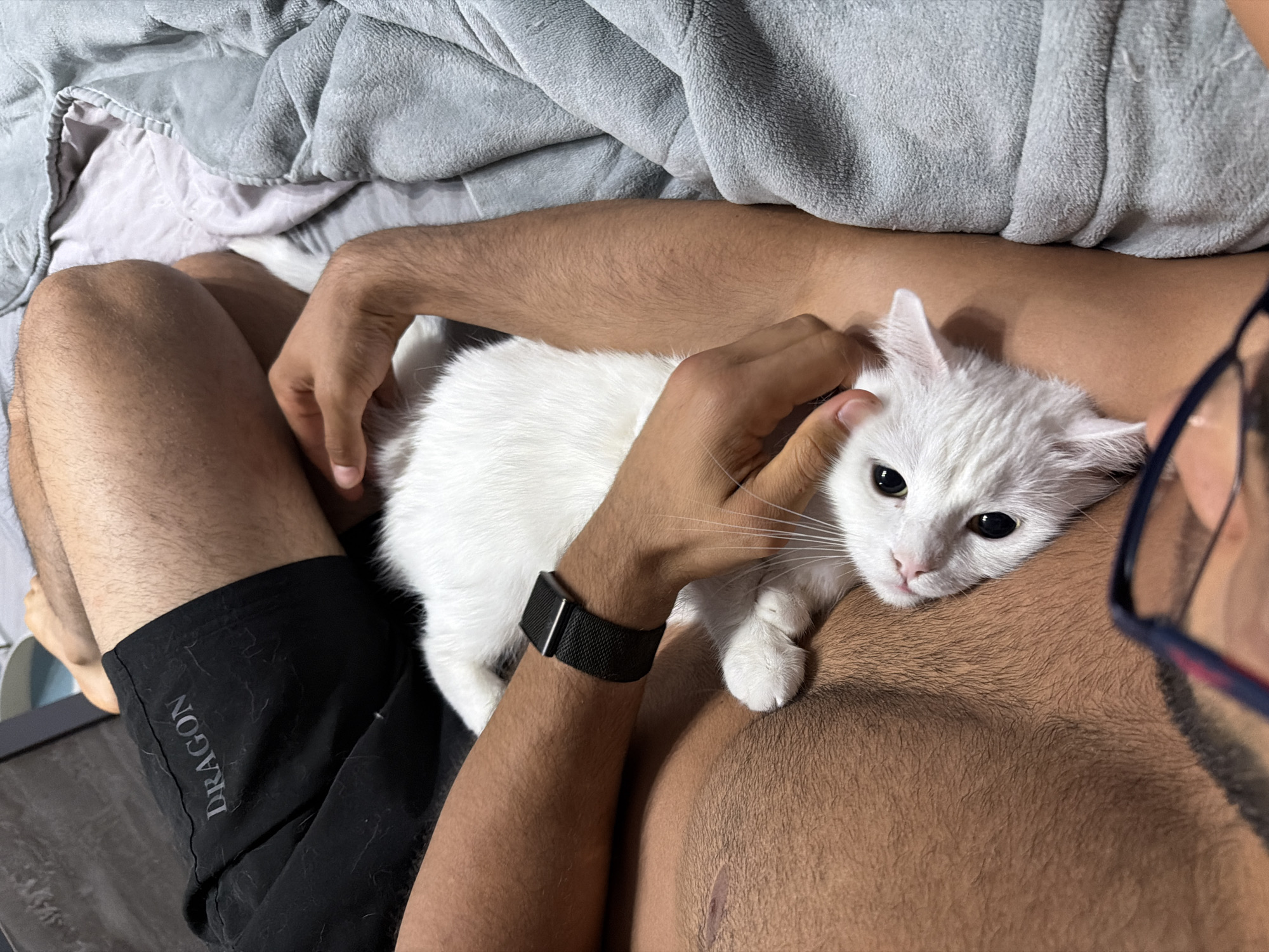 A person lies on their back on a bed, with a white cat resting on their chest. The person is wearing black shorts with the word "DRAGON" printed on them. A gray blanket is draped over the person's legs and a portion of the bed. The person's right arm is bent, with their hand resting on the cat's back. The cat is looking up at the camera with wide, black eyes. The image appears to have been taken indoors, likely in a bedroom. No specific location in Burgas, Bulgaria can be identified from the provided image.