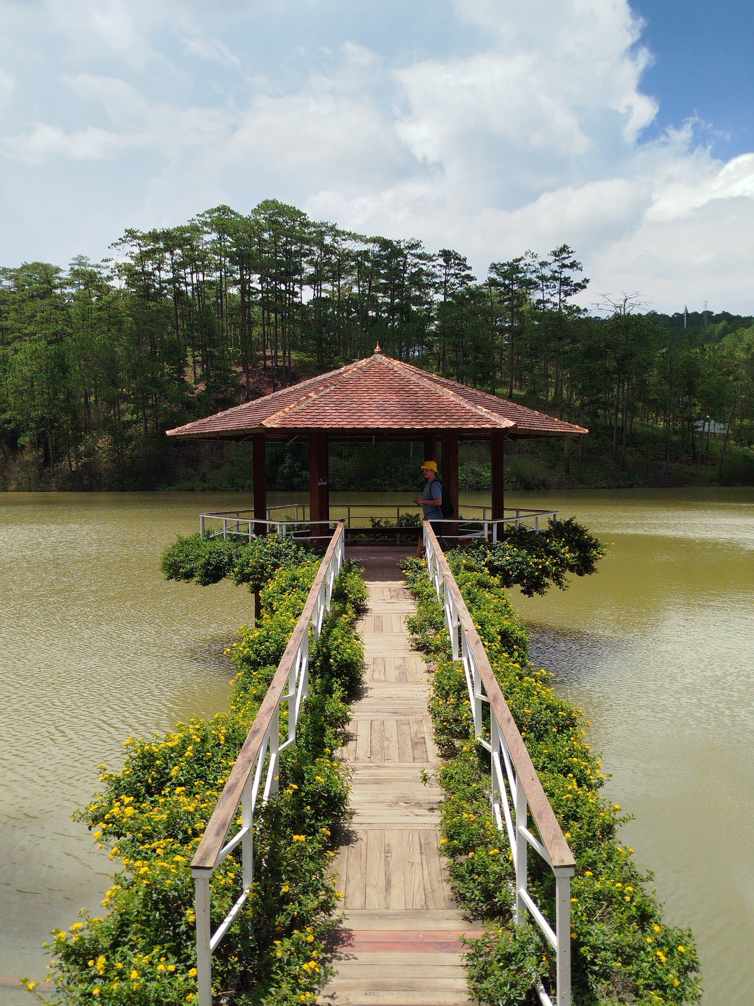 The image depicts a wooden boardwalk extending over a body of water, leading to a hexagonal gazebo with a tiled roof. The boardwalk is flanked by lush green bushes with bright yellow flowers. A person wearing a yellow hat and a blue shirt stands within the gazebo, looking towards the water. The water is calm with ripples reflecting the sky. In the background, a dense forest of pine trees covers a hillside under a partly cloudy sky. The scene is situated at the Xuan Huong Lake in Da Lat, Lam Vien, Vietnam.