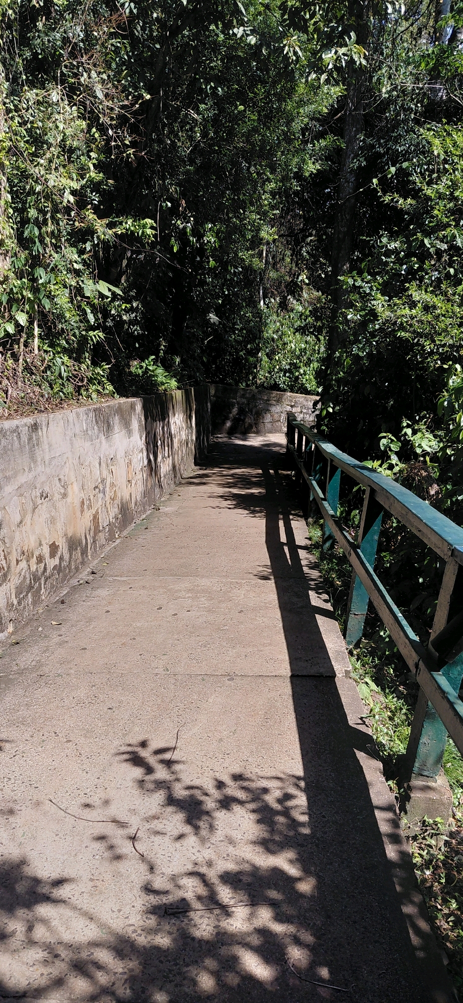 The image shows a concrete pathway lined with a concrete wall on the left and a green metal railing on the right, descending into a heavily vegetated area. The pathway appears to be outdoors, possibly in a park or natural reserve. Sunlight casts shadows of leaves and branches across the pathway and the wall. The surrounding vegetation is dense with various shades of green. The pathway is in good condition with some minor debris and cracks visible. The scene is tranquil and appears to be in a natural setting. The location is identified as Foz Do Iguaçu, Brazil, known for its natural beauty and the Iguaçu Falls.