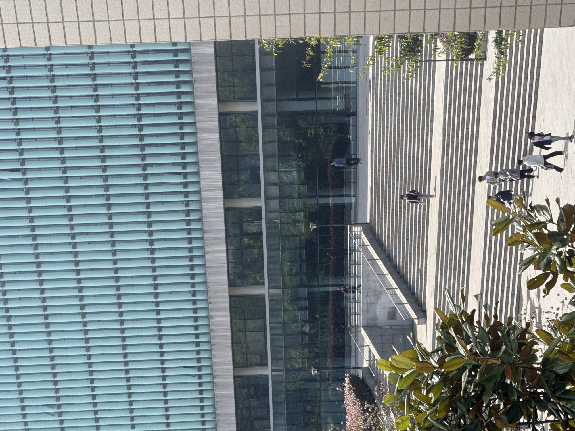 The image shows an exterior view of a modern building in Jiangjin, China, characterized by a grid of blue-tinted horizontal windows. To the right of the building is a wide set of tiered stairs, creating a public space. Several people are walking up or down the stairs. A tree with large, green leaves is visible in the foreground on the right, partially obscuring the view. The building appears to have a reflective facade, mirroring the surrounding environment. The lighting suggests it is daytime with clear skies.