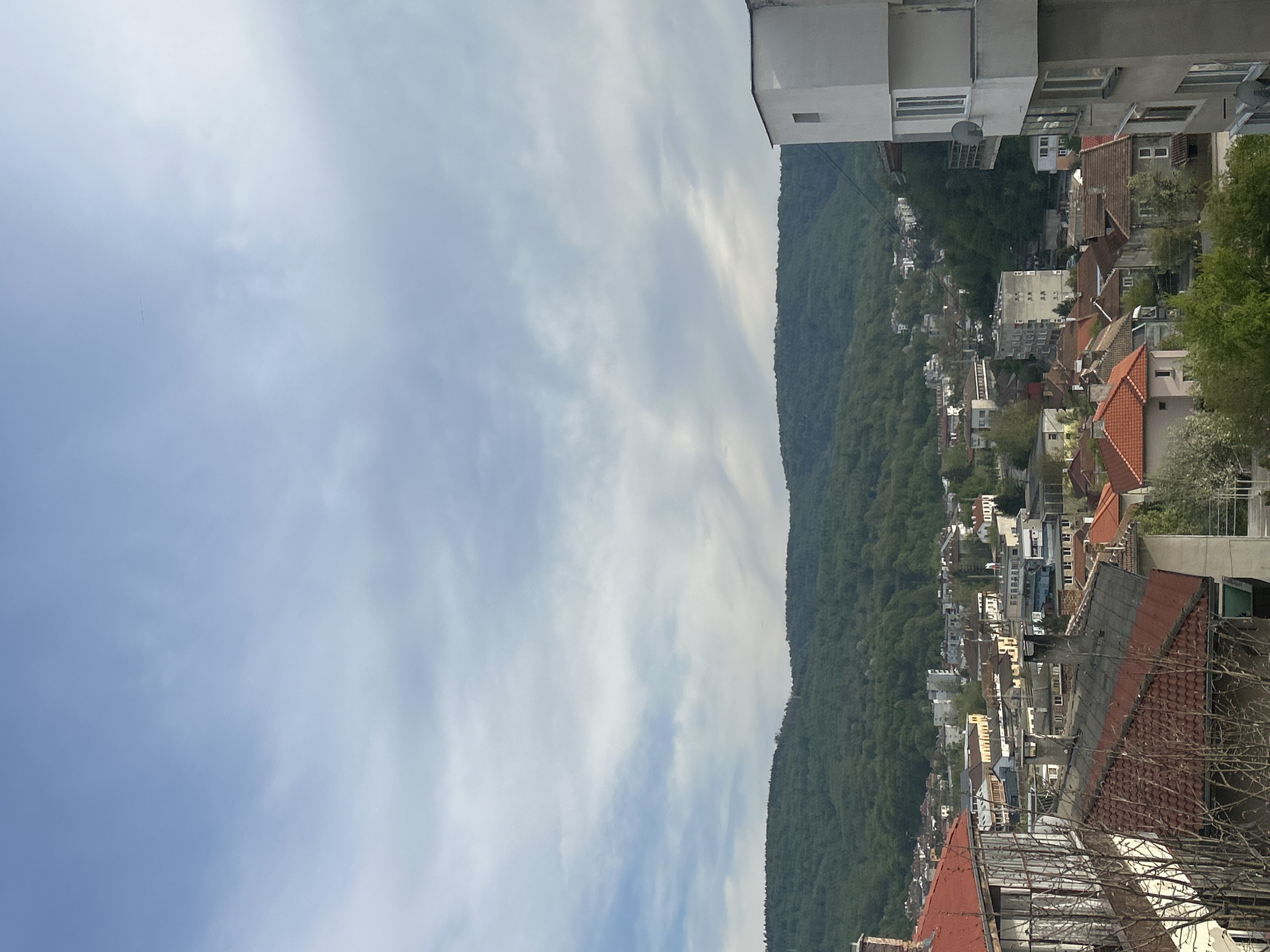 The image shows a view of Tryavna, Bulgaria, looking towards a forested hillside. The sky is partly cloudy. The foreground includes rooftops and buildings, giving the impression of an elevated vantage point within the town. The town extends up the slope towards the heavily wooded hillside. The buildings are varied in style and color, with red tile roofs being prominent. A modern white building is visible on the top right.
