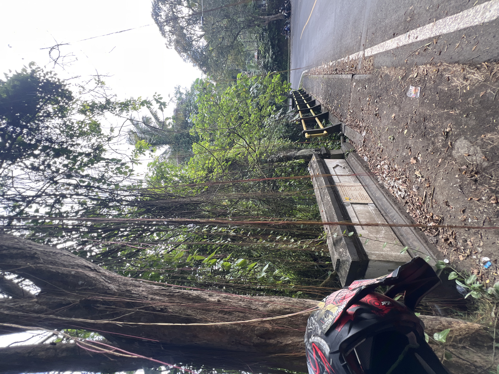 A motorcycle helmet with a red and black design rests against a tree with hanging vines. The helmet is on the left side of the image, partially obscuring a stone structure. To the right of the helmet and stone structure, a paved road curves into the distance. A yellow railing runs along the side of the road, bordering a dense green forest. Debris, including fallen leaves and a plastic cup, is scattered on the ground along the roadside. In the background, several motorcycles are parked on the side of the road, and a few buildings are visible through the trees. The sky is overcast, suggesting a cloudy day. This scene is located in Tampaksiring, Indonesia.