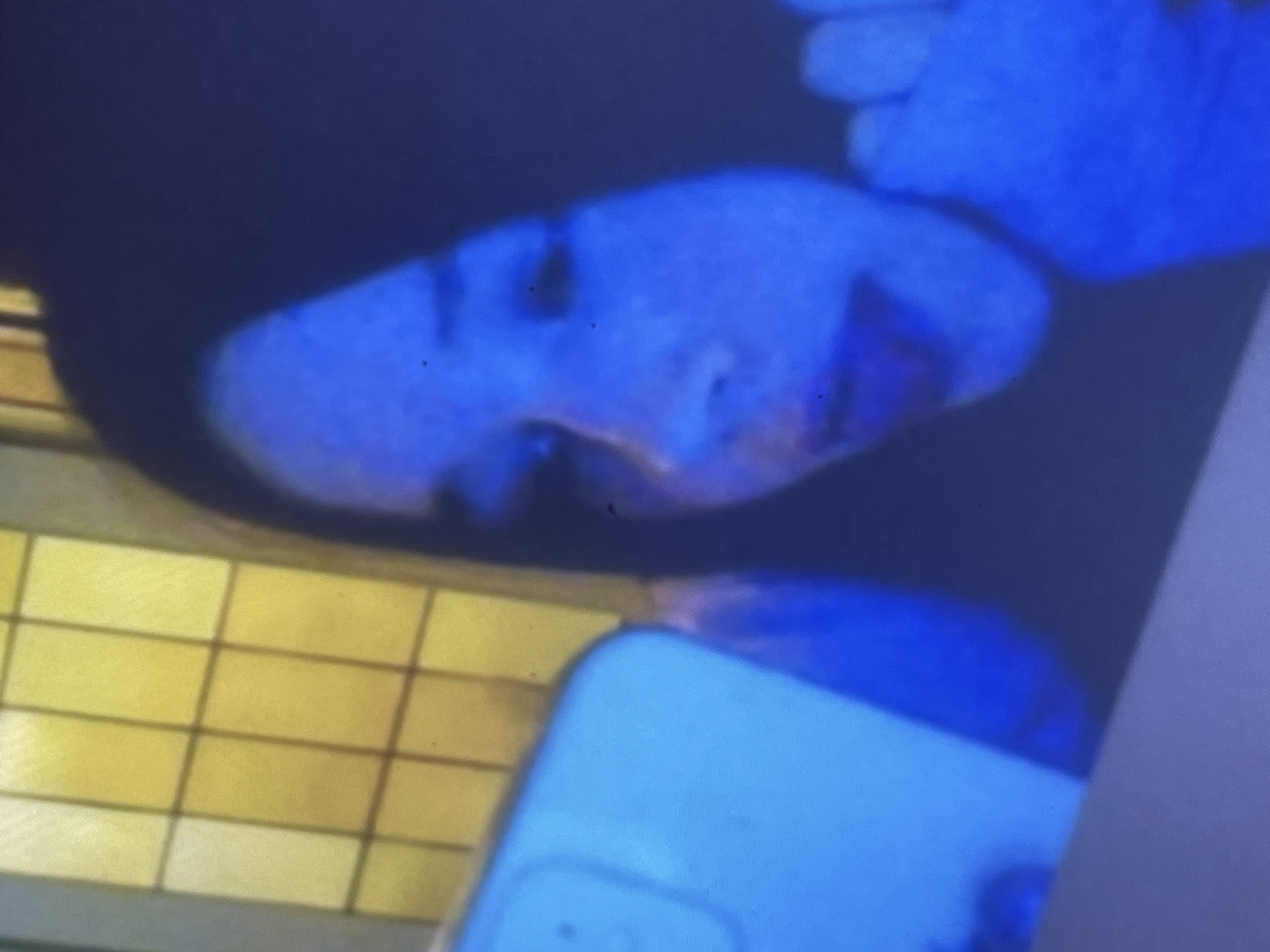 The image features a close-up of a person's face and hand, both strongly illuminated by a dominant blue light source. The person appears to be resting or lying down, with their face partially visible and turned to the side. Small dark specks are scattered across the blue-tinted skin of the face. In the bottom section of the image, a light blue smartphone with rounded corners is visible. Adjacent to and slightly behind the phone is a distinct yellow surface characterized by a grid-like pattern, resembling tiles or a textured panel. The background is largely dark, suggesting an indoor setting with artificial, low-level lighting, possibly at night. No text is visible. The scene is located in Poltava, Ukraine.