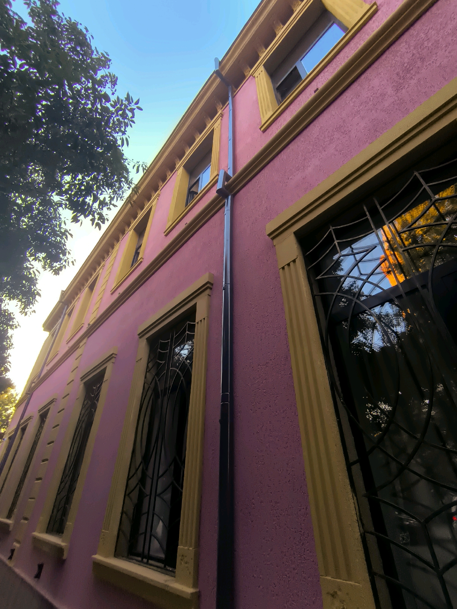 A low-angle, wide-shot photograph captures the side of a pink building with yellow decorative trim and window frames. Multiple windows with black decorative metal grilles are visible along the facade, with reflections of trees and the sky in some of the glass panes. A downspout runs vertically along the building. To the left, the branches and leaves of a large tree extend into the frame. The sky above is a clear blue. The scene appears to be in Batumi, Georgia, likely a residential or commercial building. There are no people or animals visible in the image.
