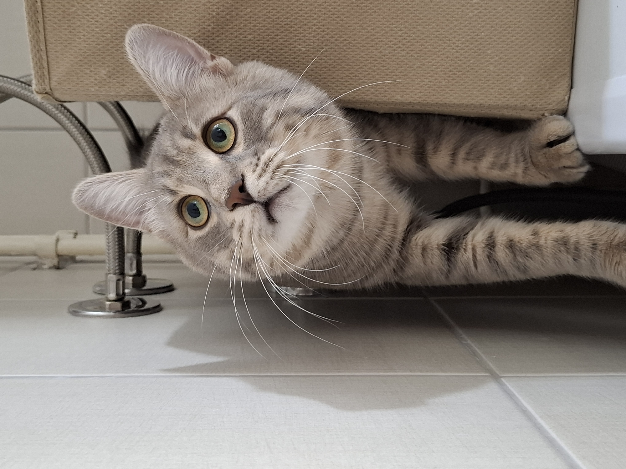 A gray tabby cat with green eyes peers out from under a beige-colored object, possibly a piece of furniture, onto a white tiled floor. The cat is angled with its head tilted to the left. The floor appears to be near water pipes. This is likely a domestic interior setting. The location is unspecified.