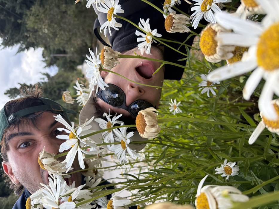Two men peer through a dense field of daisies. One man wears a dark green baseball cap. The other is upside down, wearing dark sunglasses and a black beanie, his tongue protruding. The sunglasses reflect trees and sky. Some daisies are wilted. Green foliage is visible throughout. The sky is overcast.