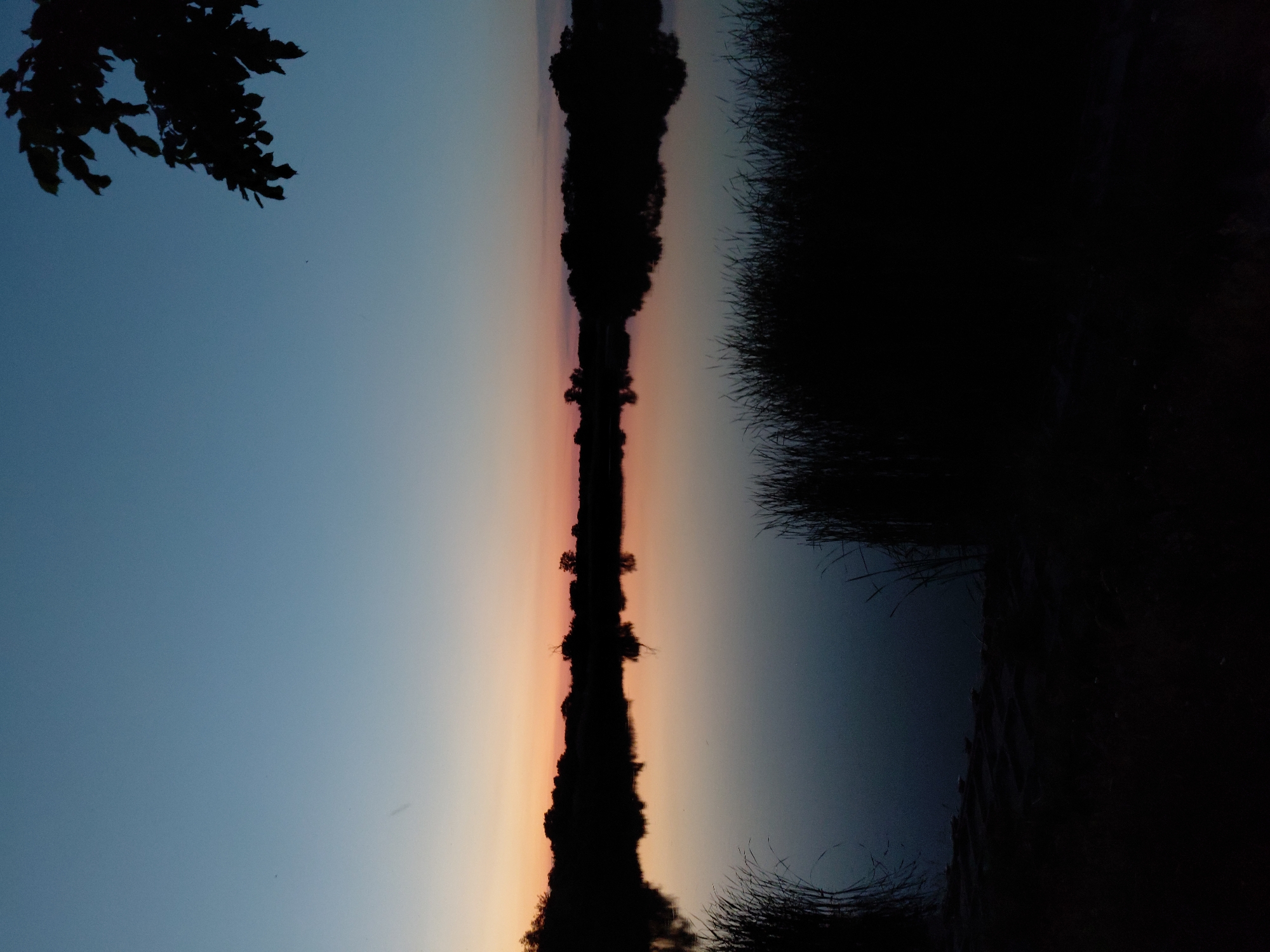 This image depicts a serene natural landscape at dusk, likely near Ustyvytsia, Ukraine. The scene is dominated by a calm body of water, possibly a lake or pond, reflecting the gradient of the twilight sky. The sky transitions from a deep blue at the top to soft hues of orange and pink near the horizon, indicating the sun has recently set. Silhouetted against the fading light is a dense line of trees and vegetation forming the distant shoreline. In the foreground, dark reeds or tall grasses stand along the water's edge, adding depth to the composition. A dark tree branch with leaves is visible in the upper right corner, partially obscuring the sky. The overall atmosphere is tranquil and peaceful, characteristic of a rural setting at the end of the day. There are no people or visible signs of human activity in the image.