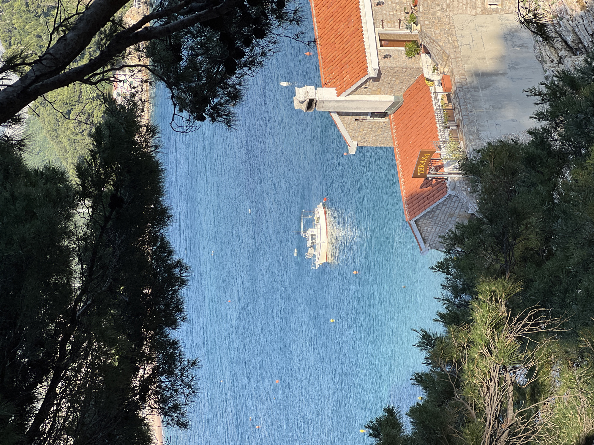 The image shows a view of the Adriatic Sea from an elevated position in Petrovac centar, Montenegro. Lush green trees frame the scene. A white boat sits anchored in the turquoise water, surrounded by buoys. A building with an orange tiled roof is on the right, and a sign that reads "TERASA" is visible. A beach is visible on the left.