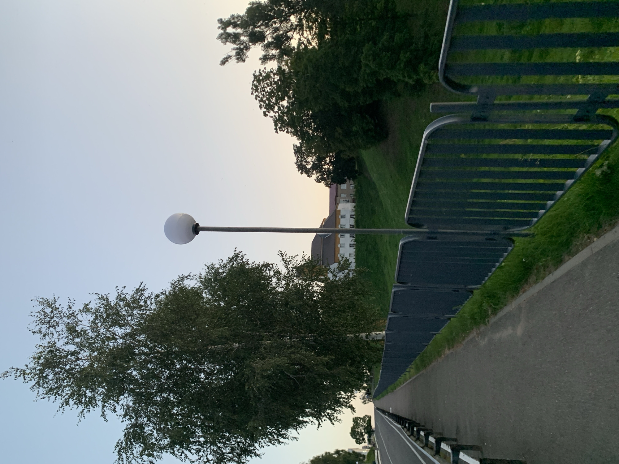 This is an eye-level, medium shot of a sidewalk running alongside a road in Kapyĺ, Belarus. A tall, mature birch tree is prominently positioned on the left side of the frame, its dense foliage dominating the upper left quadrant. To the right of the tree, a single, modern streetlamp with a spherical head stands tall against the pale sky. Beyond the sidewalk, a dark metal fence runs horizontally, separating the path from a gently sloping grassy embankment. Several buildings with light-colored facades and brown roofs are visible on the crest of the embankment, partially obscured by mature trees. The sky is a soft gradient of pale blue, indicating either early morning or late evening light. There are no people or animals present in the scene. The overall atmosphere is serene and quiet.
