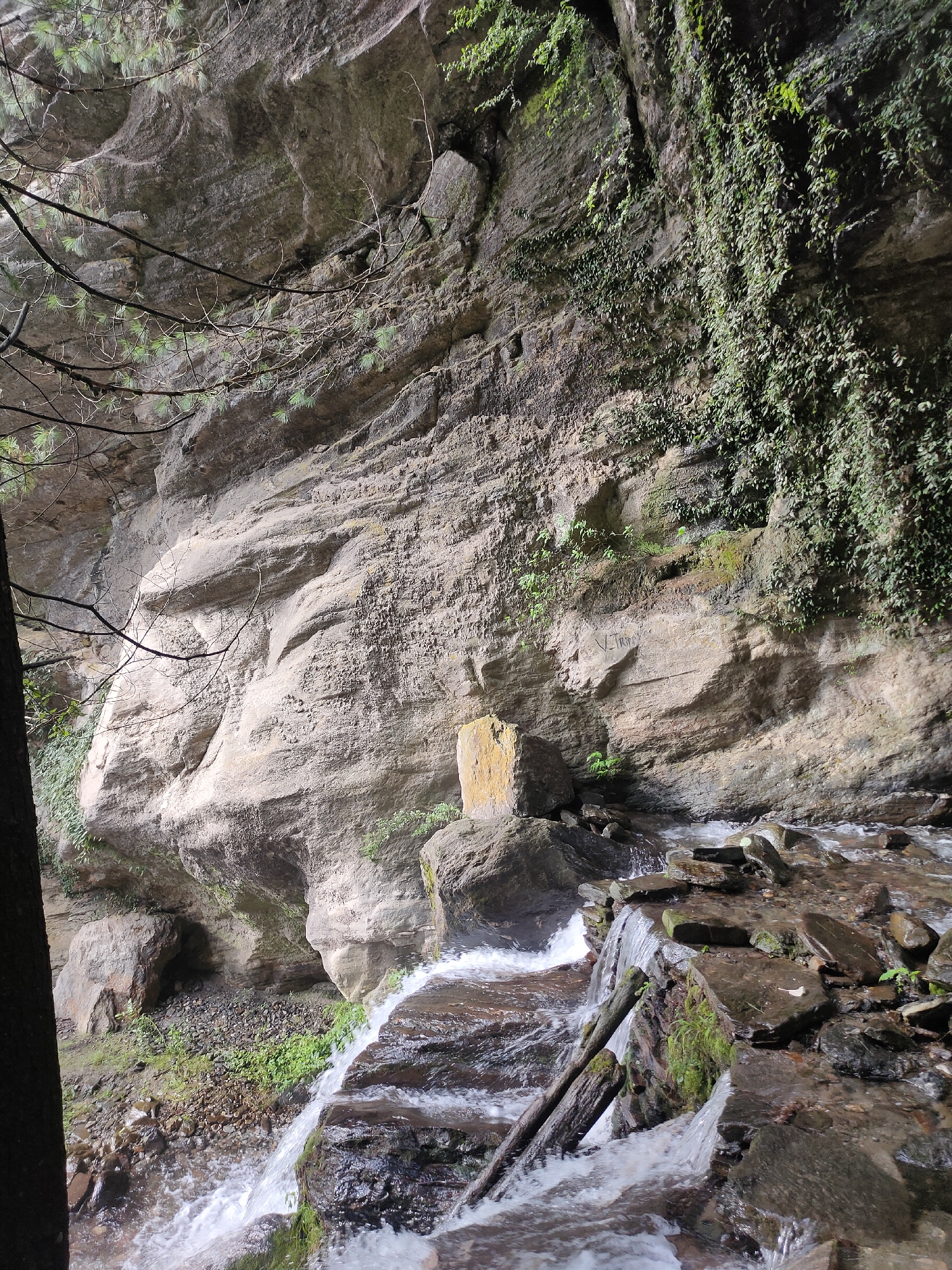 The image depicts a natural scene of a rocky cliff face with a small waterfall cascading down. The cliff is composed of layered stone, with some areas covered in dense green vegetation. In the foreground, the waterfall flows over a series of rocks, creating white foamy water. Several fallen logs are partially submerged in the water. The overall environment appears to be a secluded natural setting. The image does not provide any specific clues about its location within the city of Jana, India.