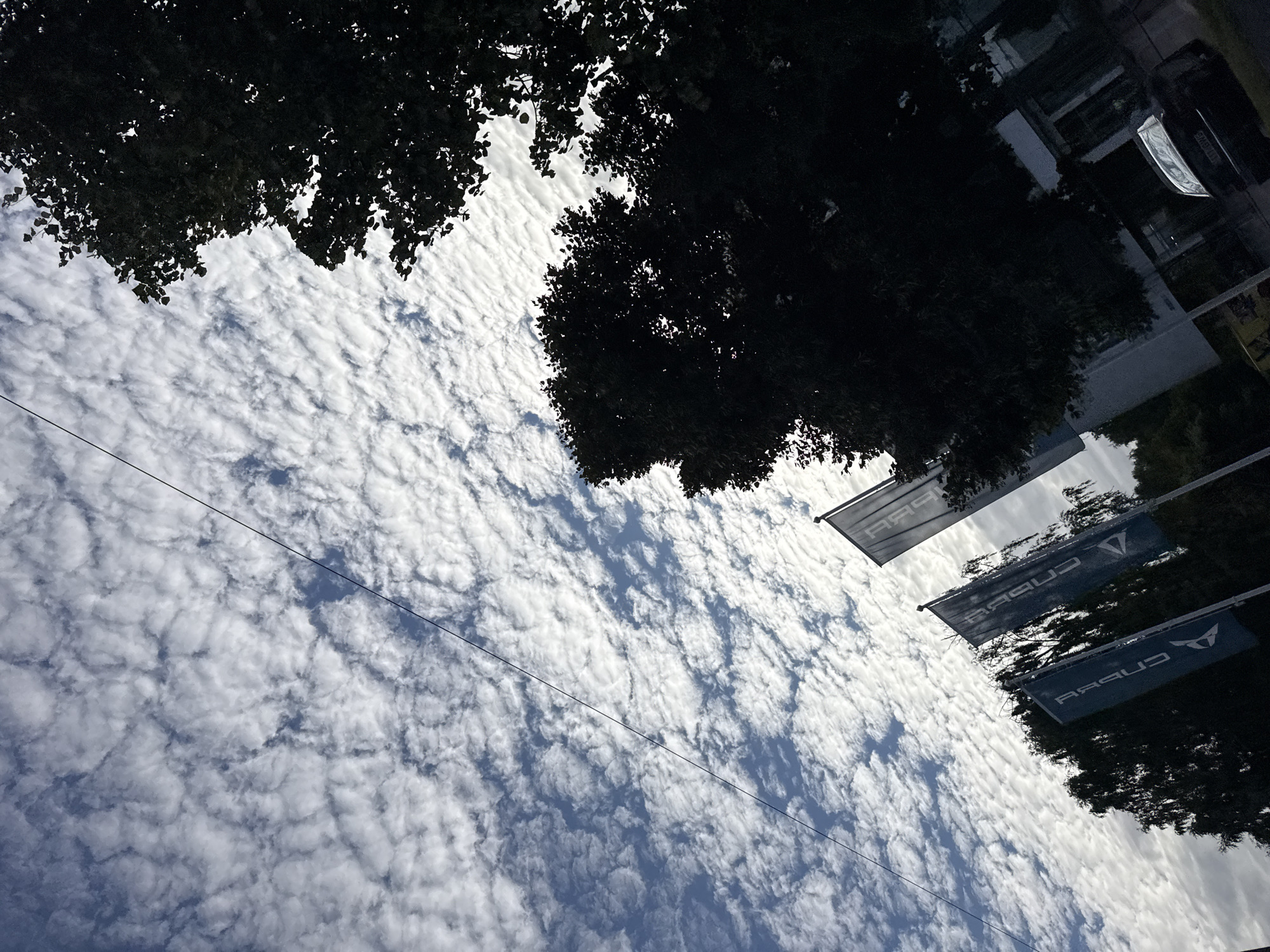 The media file is an outdoor shot looking up at the sky, with trees silhouetted against a cloudy sky. In the foreground, there are several flags with a logo that appears to be "CUPRA" written in reverse. The sky is filled with white, fluffy clouds against a blue background, suggesting it's daytime. The trees are dark and leafy, partially obscuring the sky. The flags are rectangular and appear to be made of fabric, hanging from poles. The perspective is from a low angle, emphasizing the vastness of the sky. There's a thin wire running diagonally across the frame. The overall mood is serene and perhaps a bit abstract due to the unusual angle and the silhouetted elements. The flags suggest a commercial or automotive setting. The image is rotated, with the top of the image appearing on the left.