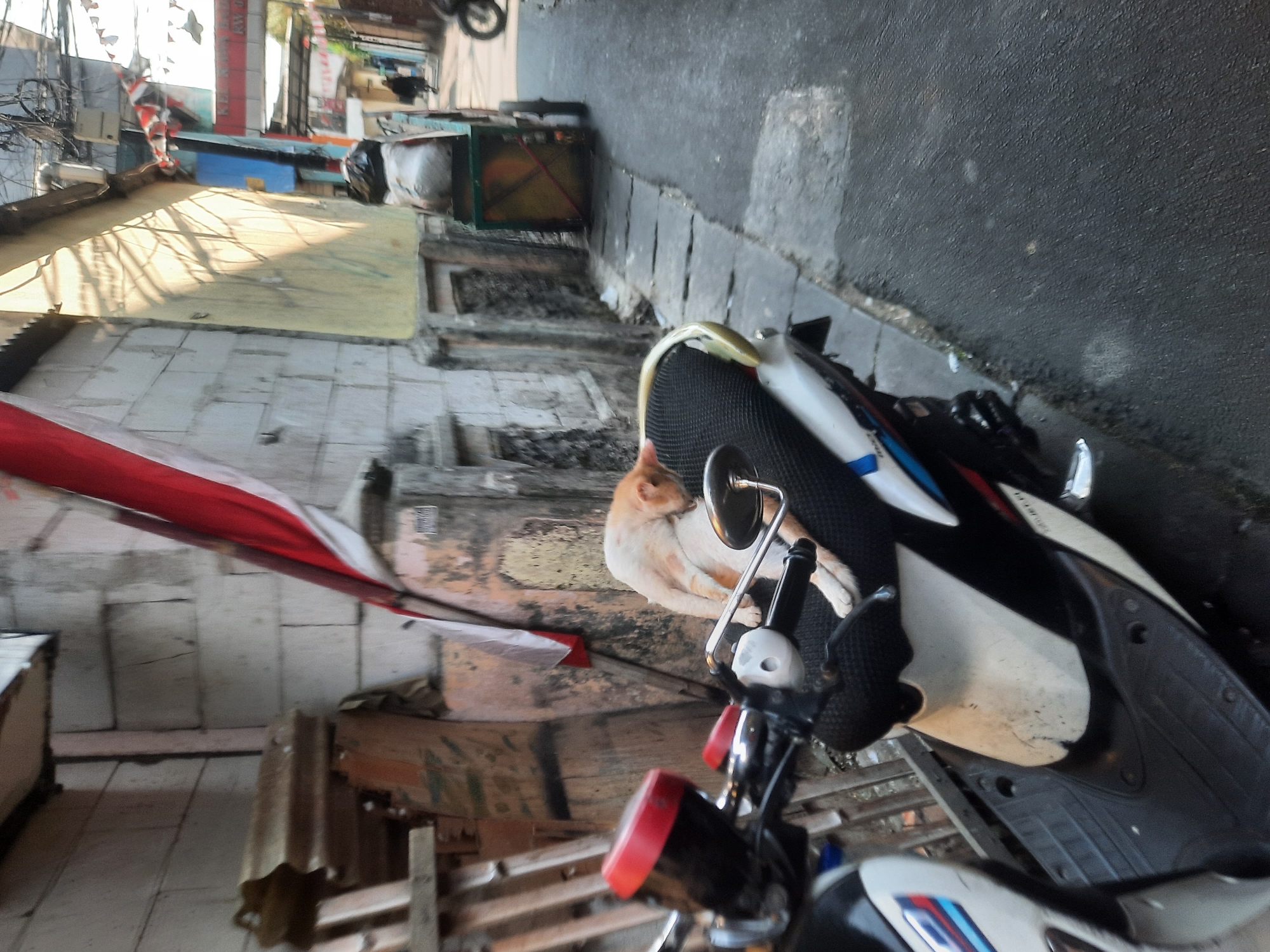 An outdoor, eye-level shot shows a narrow, paved alleyway in North Jakarta, Indonesia, with a light-colored cat sleeping on the seat of a parked scooter. The alley is lined with the sides of buildings, one of which is constructed from light-colored cinder blocks and has a red and white flag draped on it. Another building to the right has a yellow facade with shadows cast by overhead wires and vegetation. Further down the alley, a green cart filled with trash bags is being pushed by a person wearing dark clothing. The scooter, a white and black model, is positioned in the foreground. The pavement of the alley appears wet in places, suggesting recent rain. The overall scene conveys a sense of urban, everyday life in a residential area.